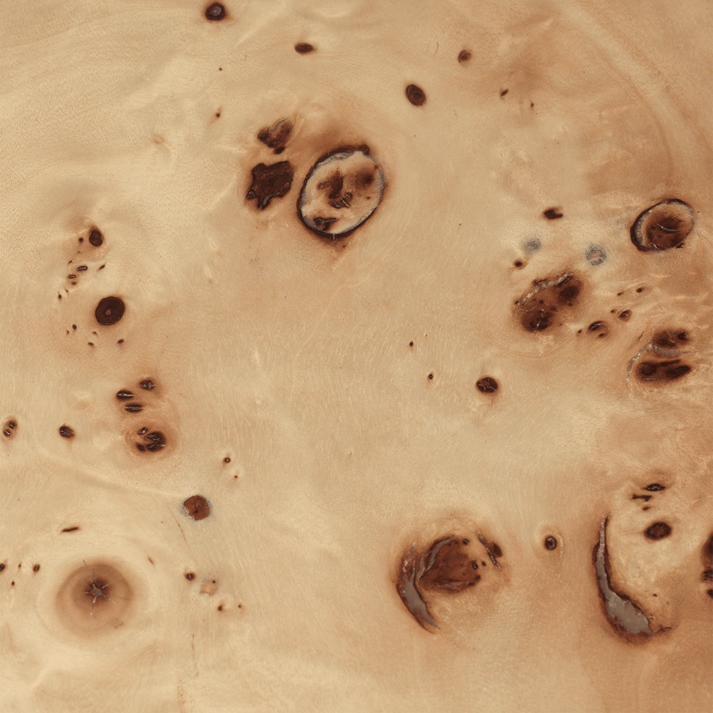 Sofabord Burl Natural - Bilde 3