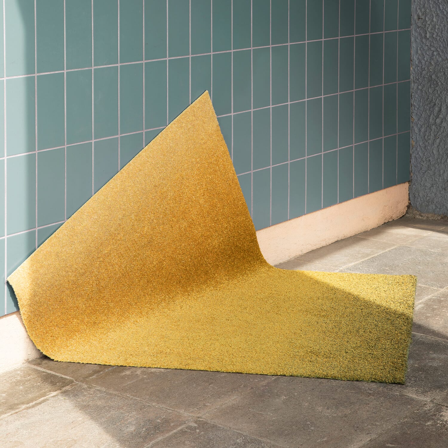 D?rmatte Dis Moss - Bilde 5