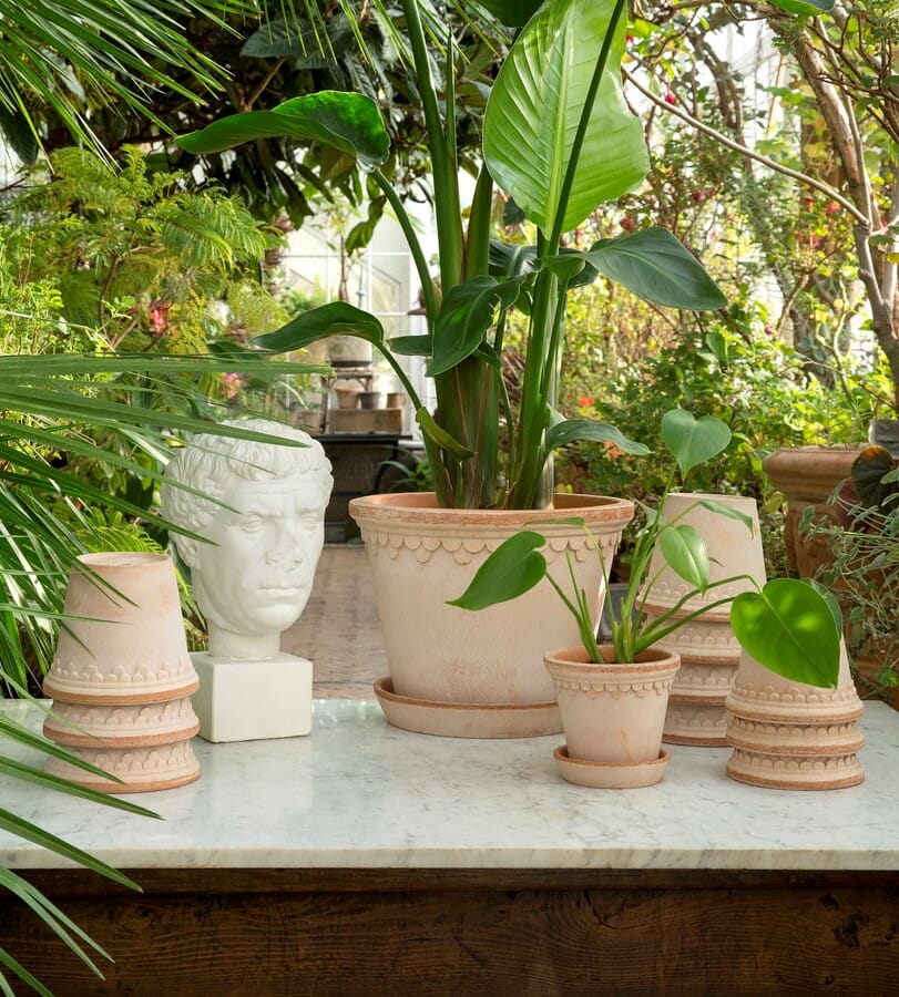 Københavner Krukke Rose 21x19 - Bilde 3