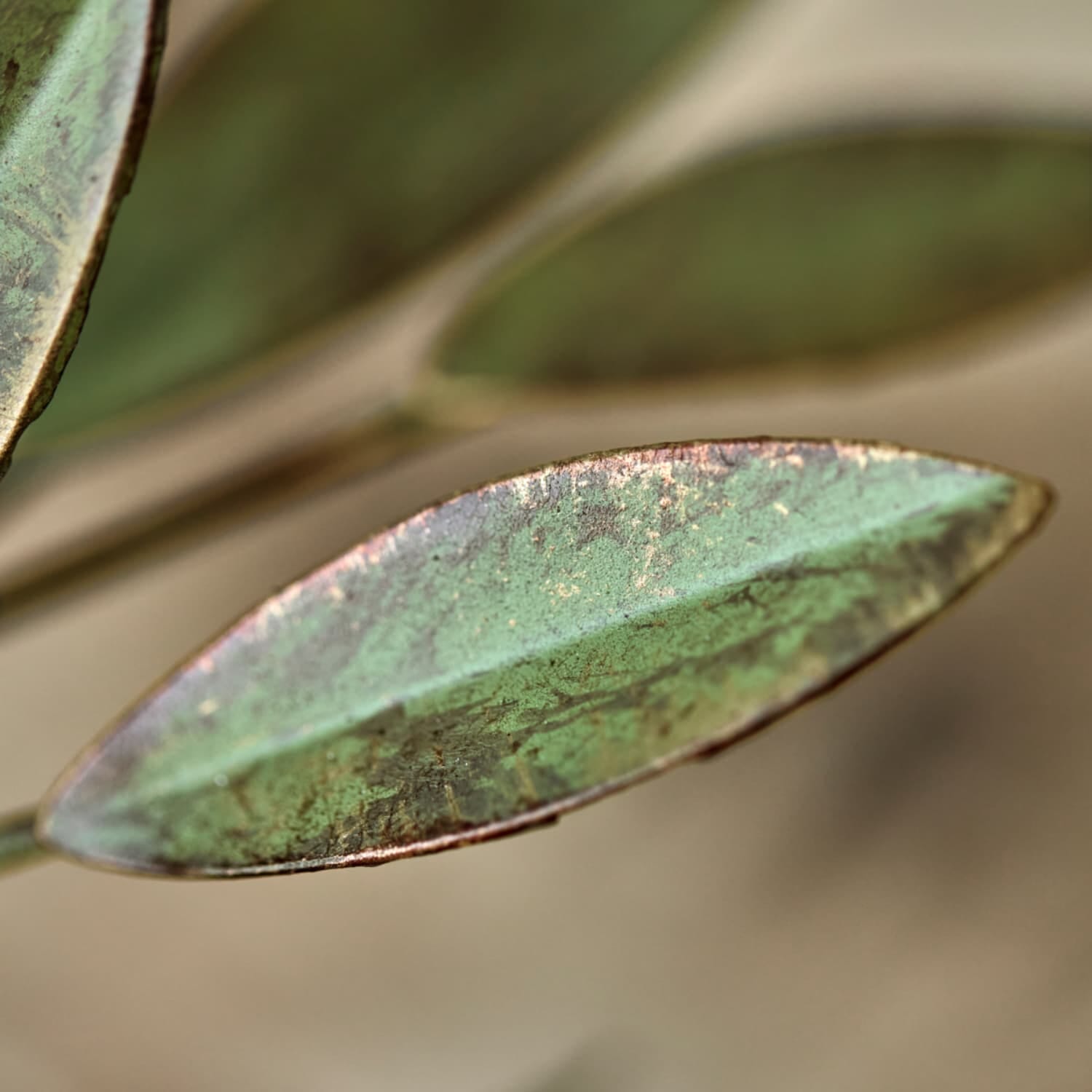 Lysestake Leaves Antikkgrønn H:20 - Bilde 4