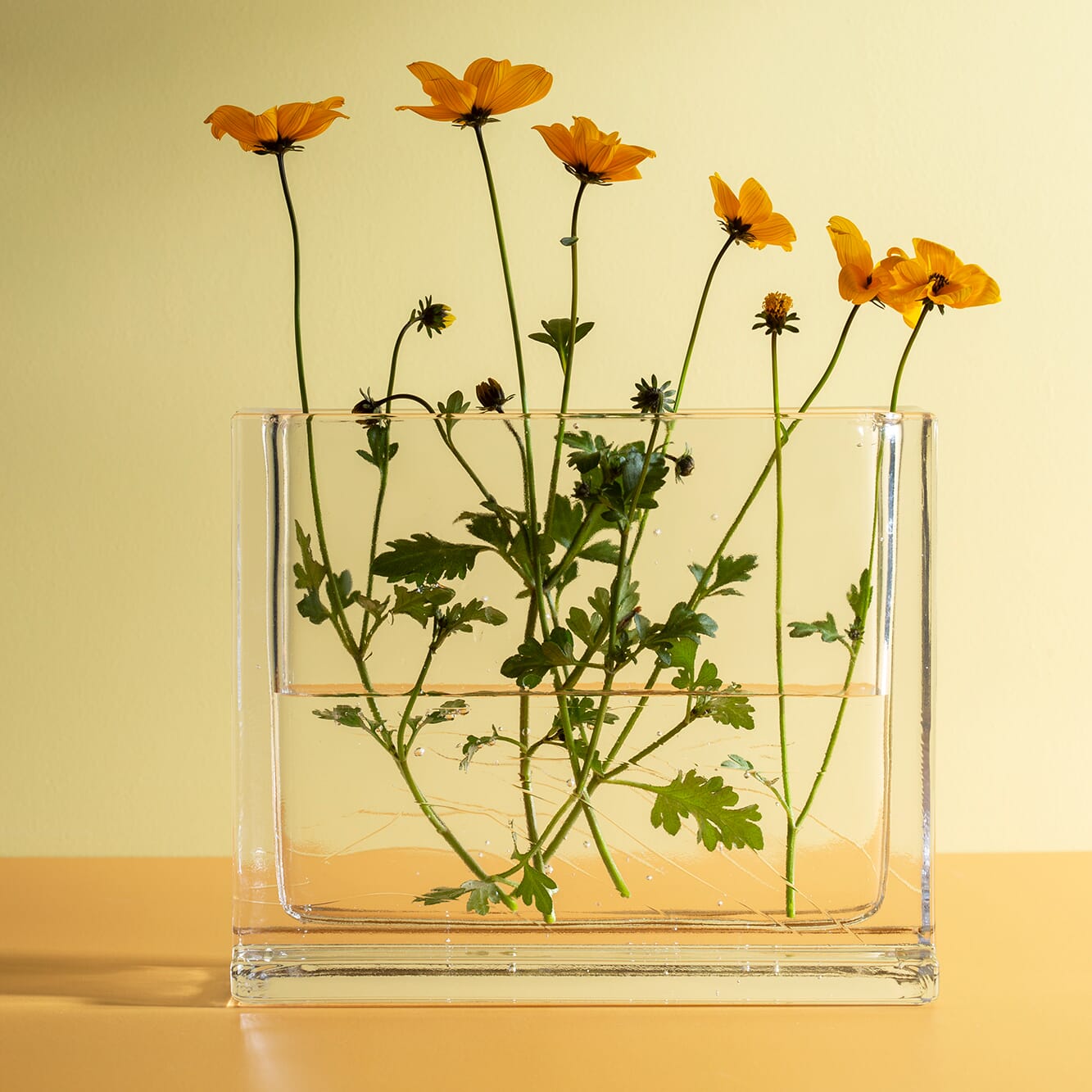 Monoblokk Vase - Bilde 24
