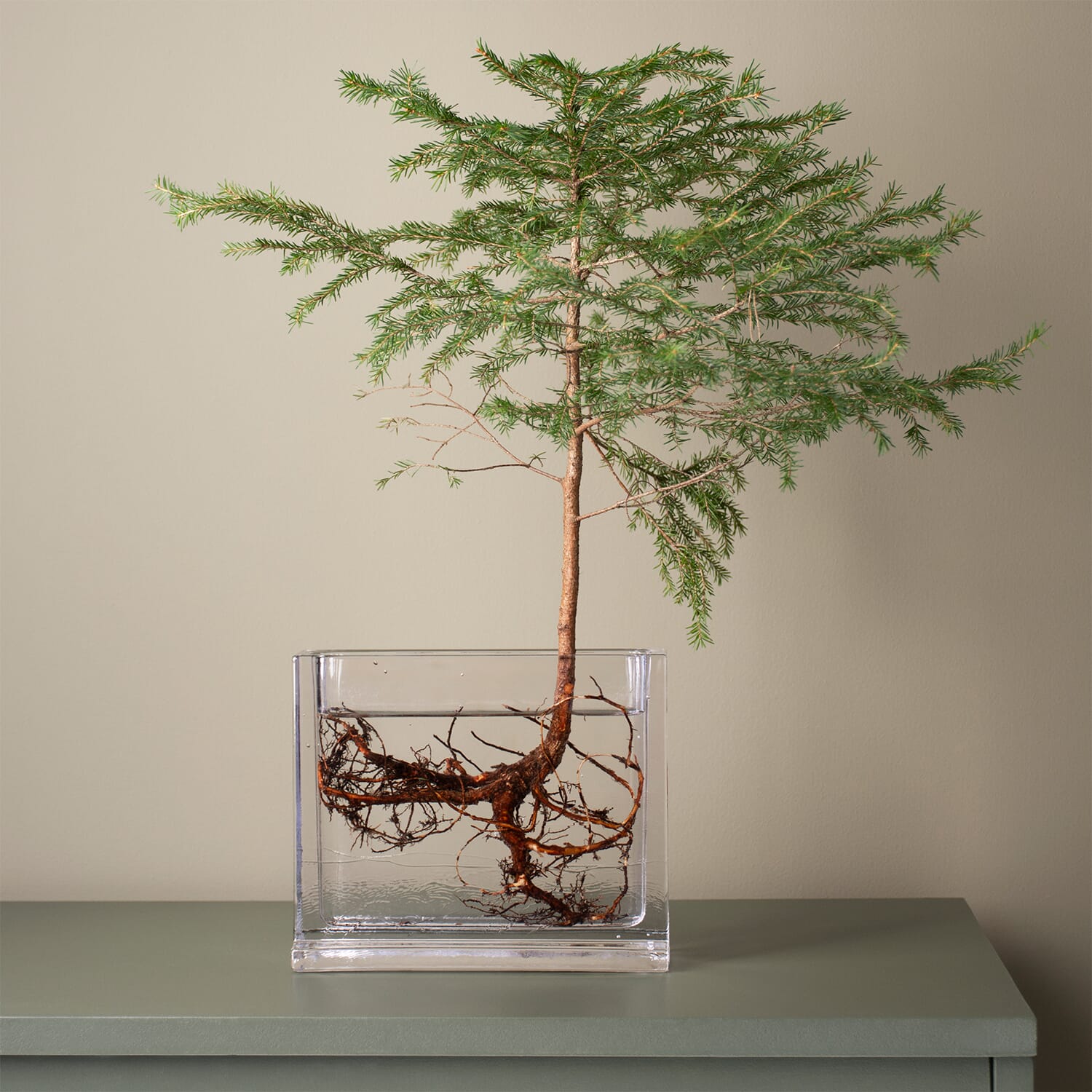 Monoblokk Vase - Bilde 21