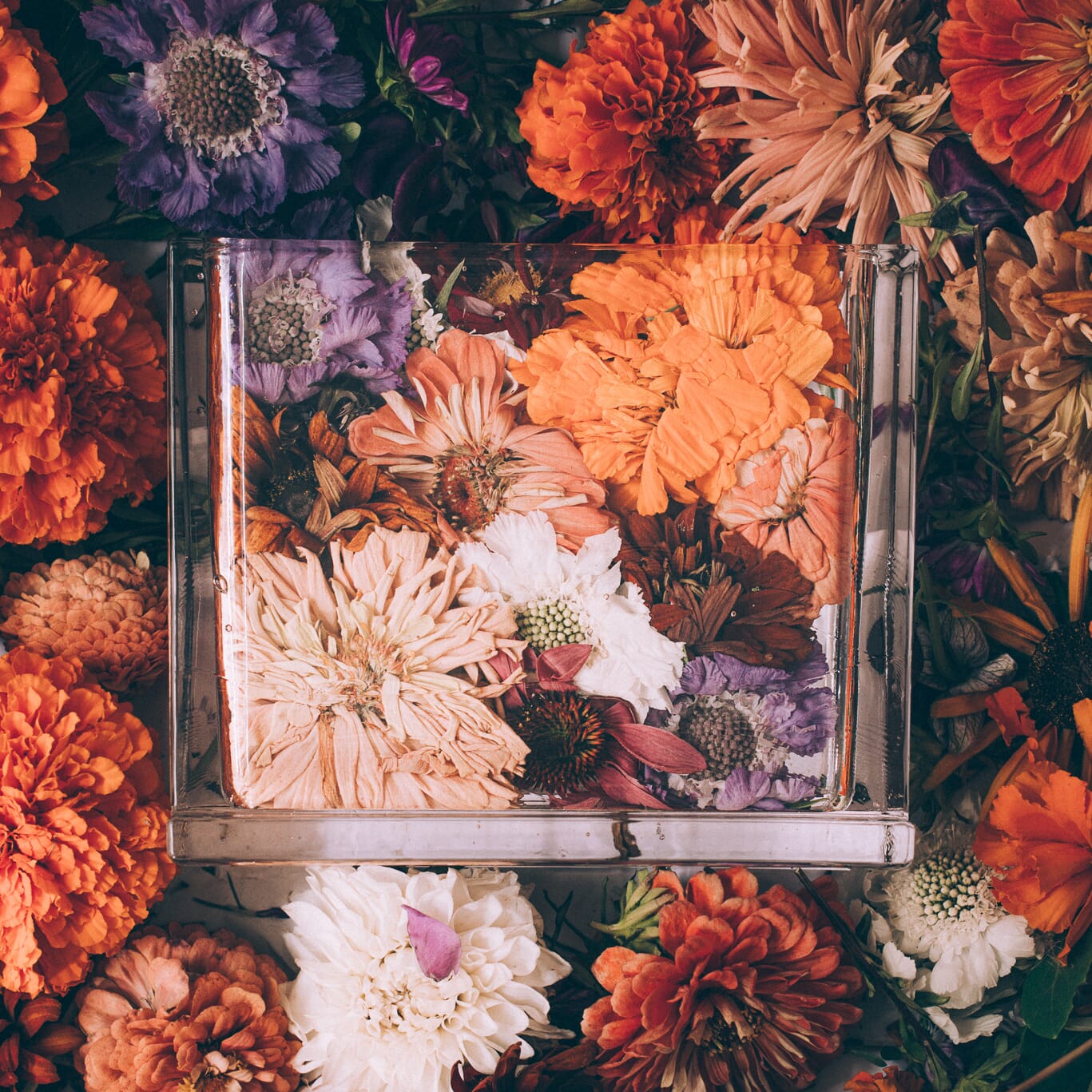 Monoblokk vase i glass fremhever blomster og stilker