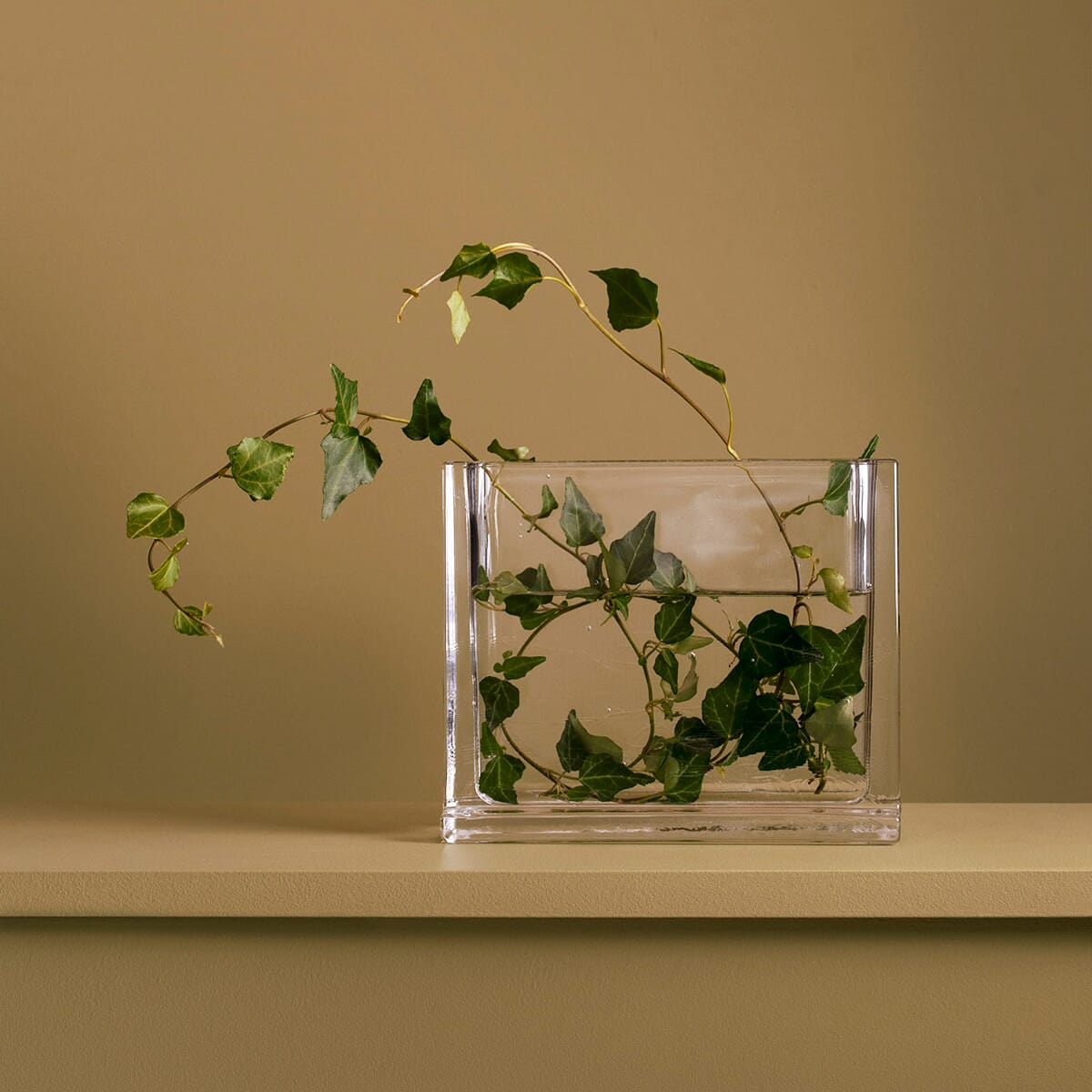 Monoblokk blomstervase med eføy