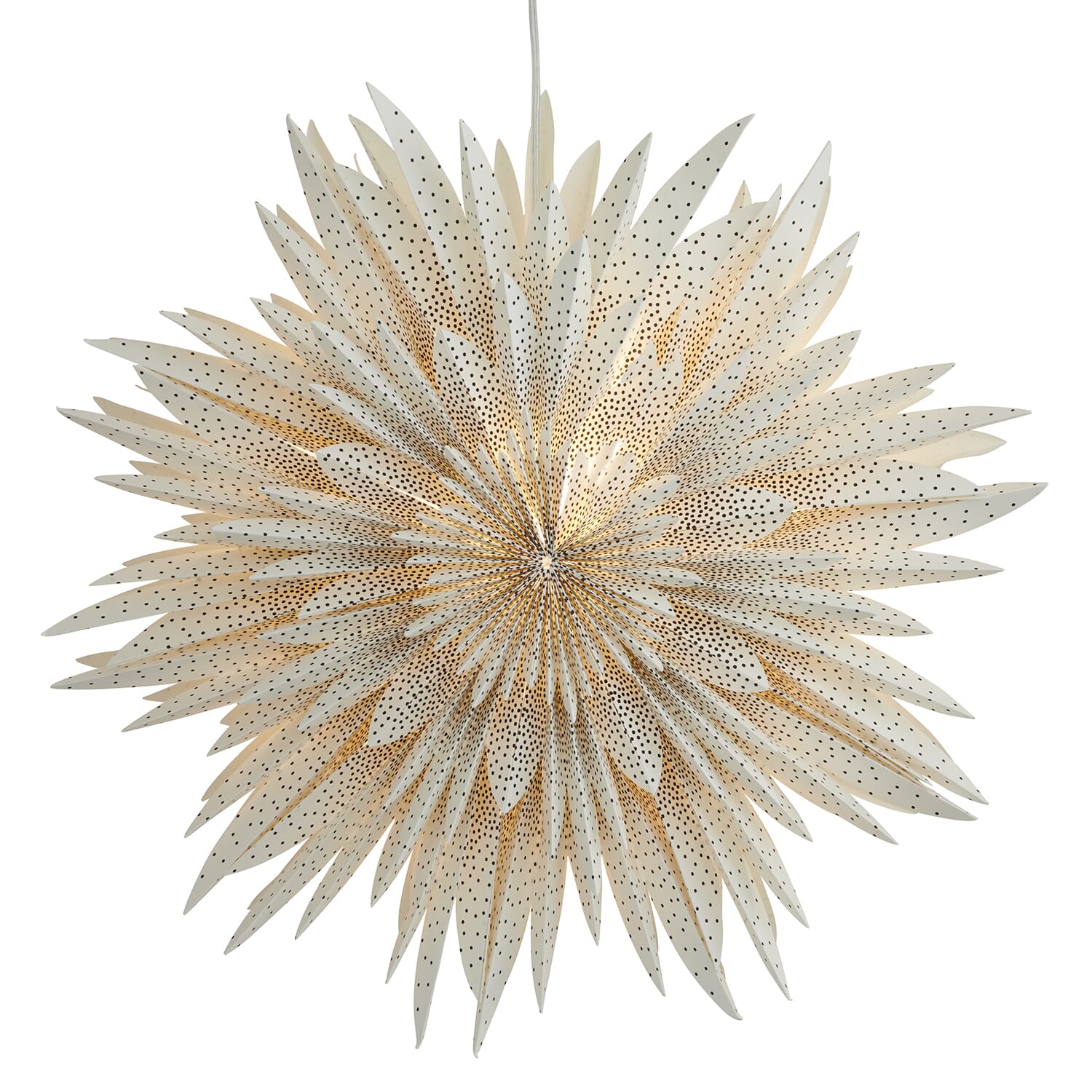 Sofie Julestjerne Black Ø:64 - Hovedbilde