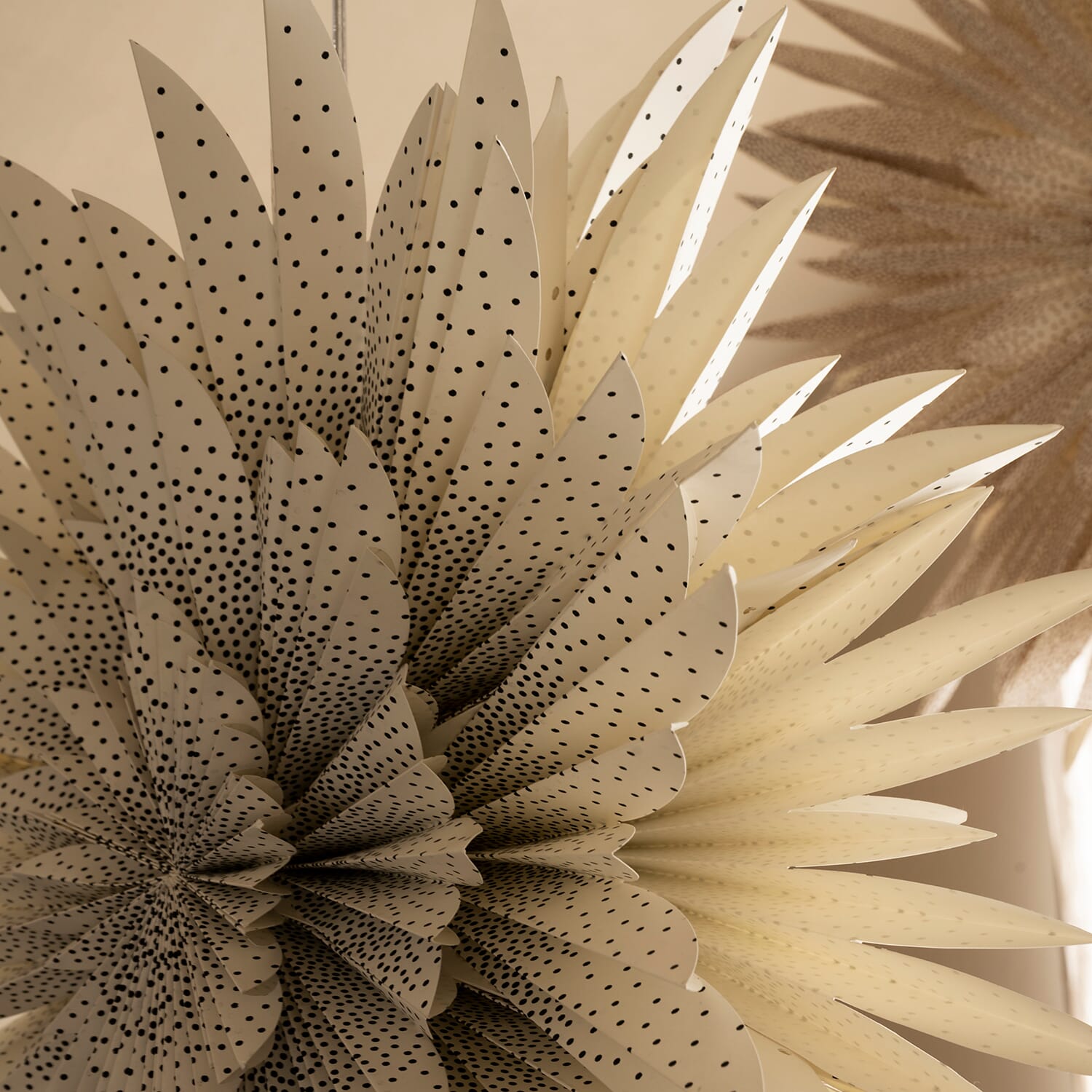 Sofie Julestjerne Black Ø:64 - Bilde 2