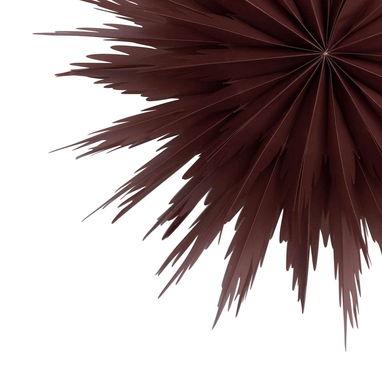 Liz Julestjerne Red Ochre Ø:50 - Bilde 7
