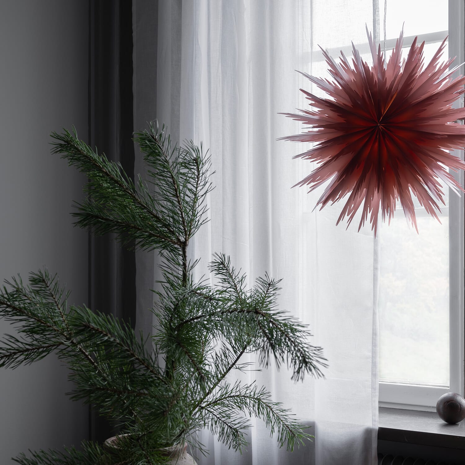 Liz Julestjerne Red Ochre Ø:50 - Bilde 3