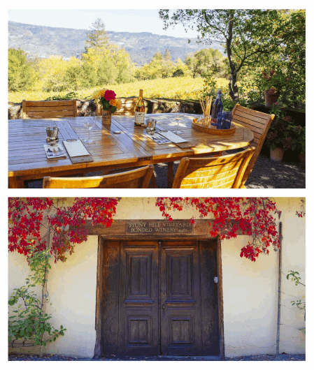 Boken The Bucket List: Wine - Bilde 4