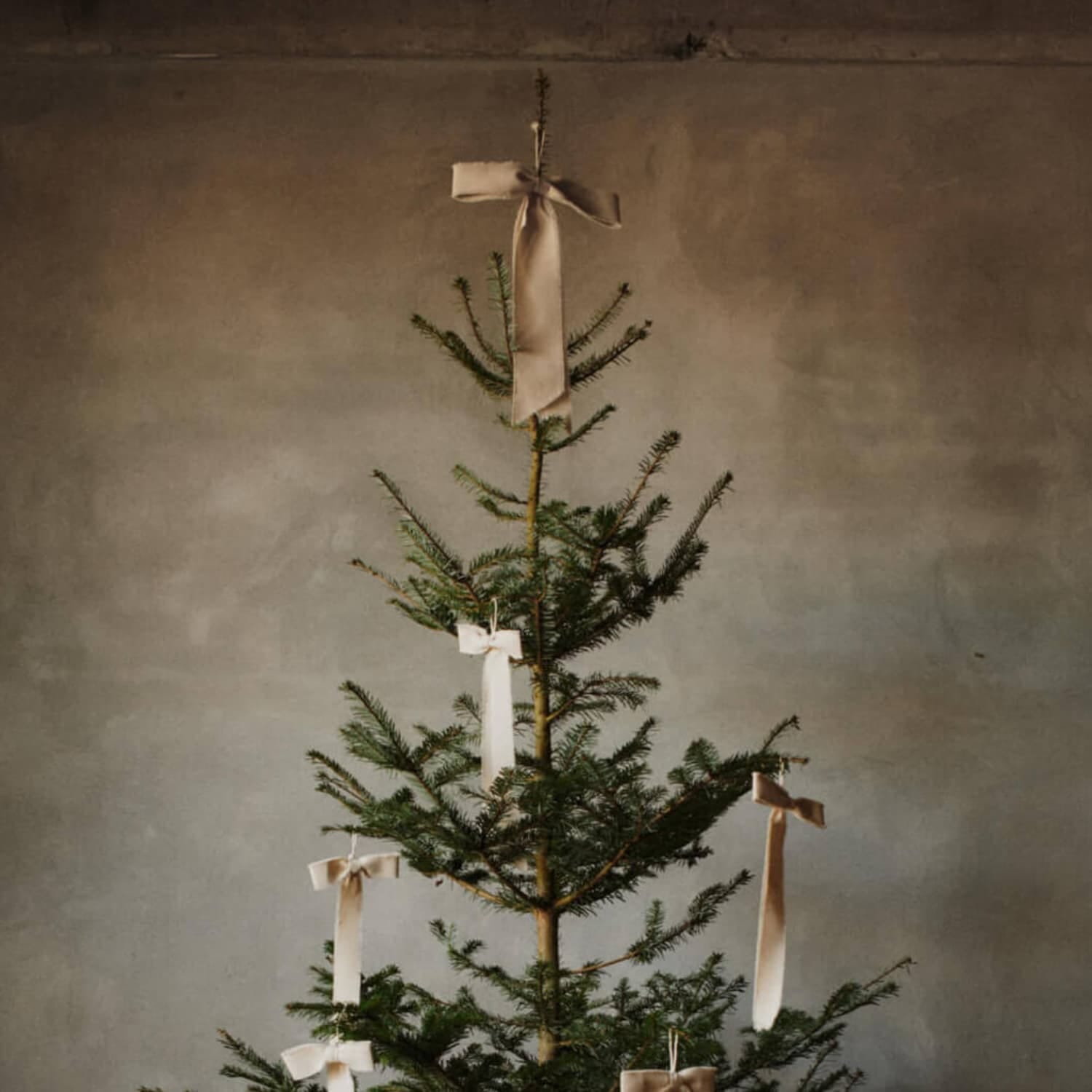 Sløyfe Natural Large