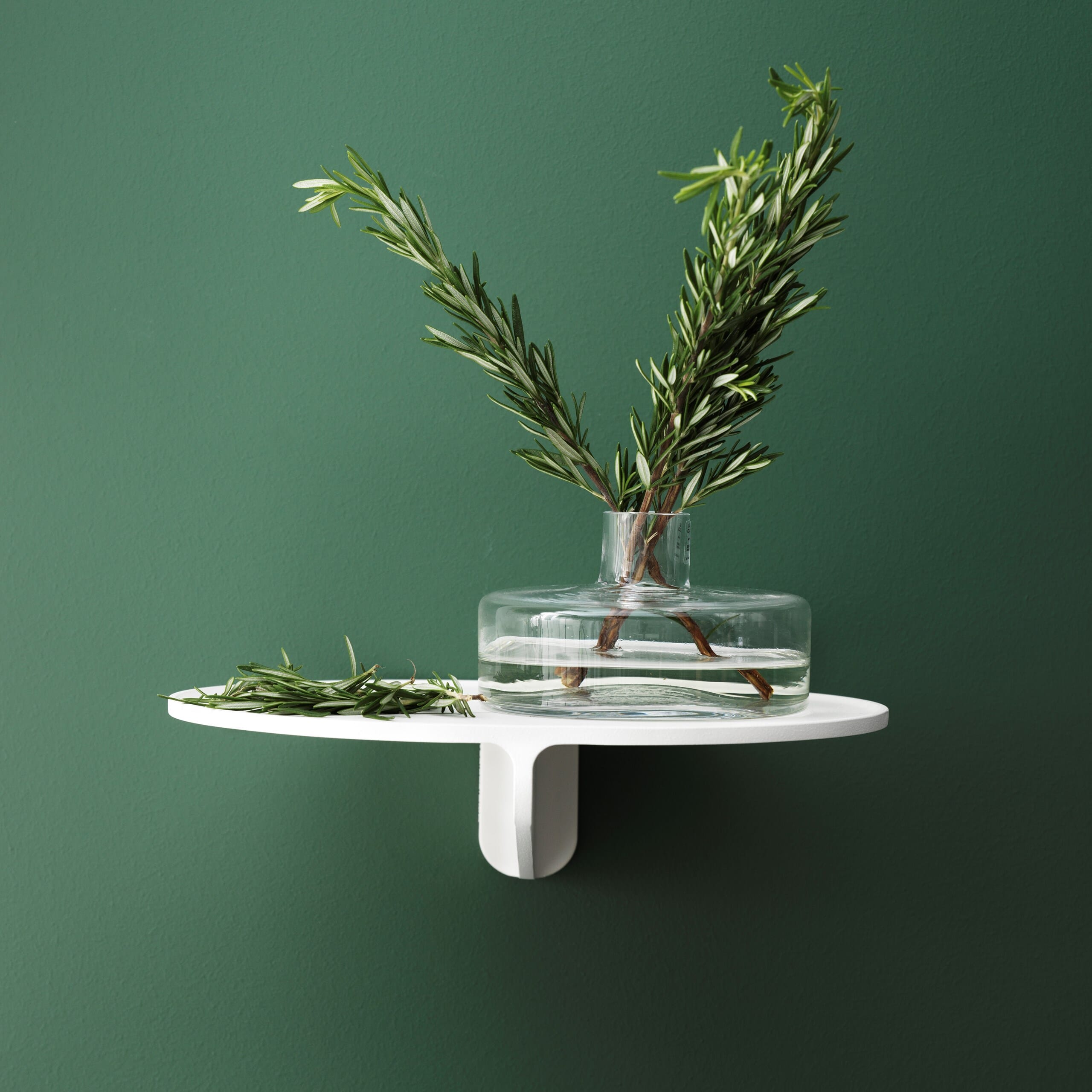 Museum Hylle - Bilde 3