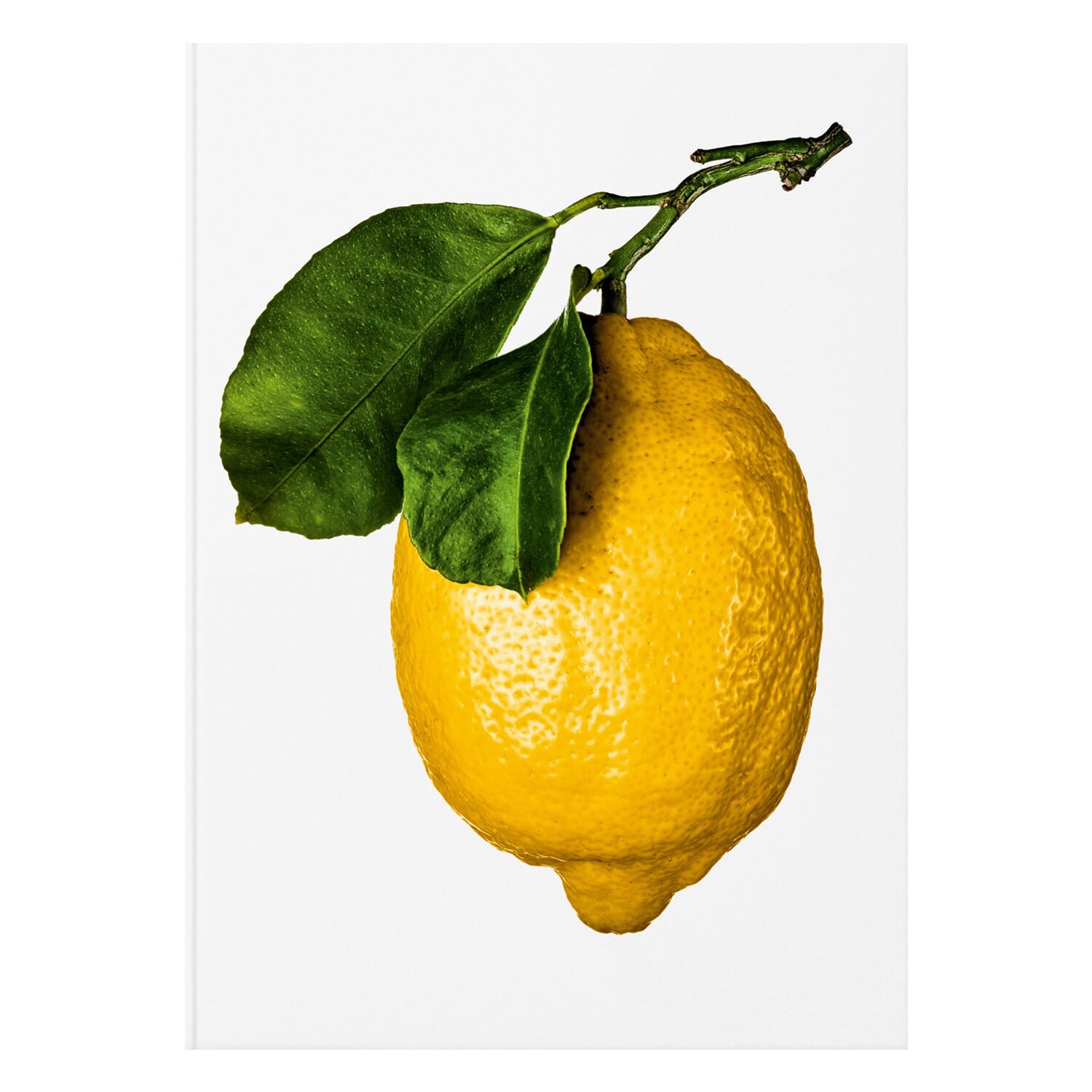 The Gourmand's Lemon. A Collection of Stories and Recipes - Hovedbilde