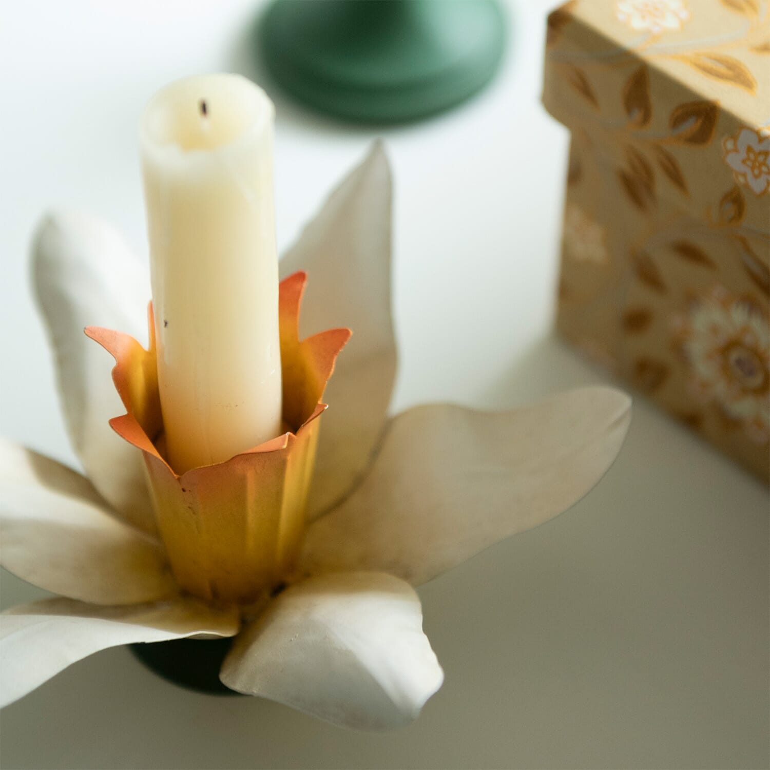 Lysestake Daffodil - Hovedbilde