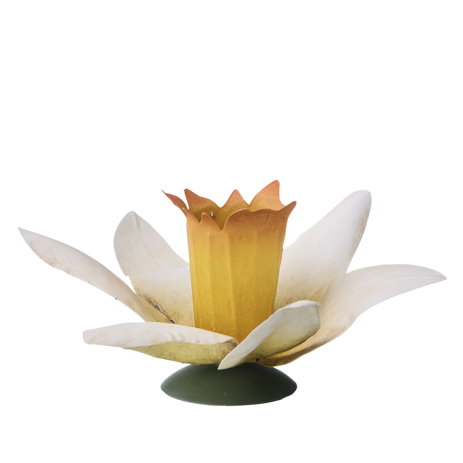 Lysestake Daffodil - Bilde 2