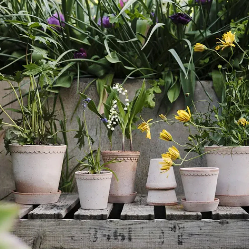 Favoritter til uterommet