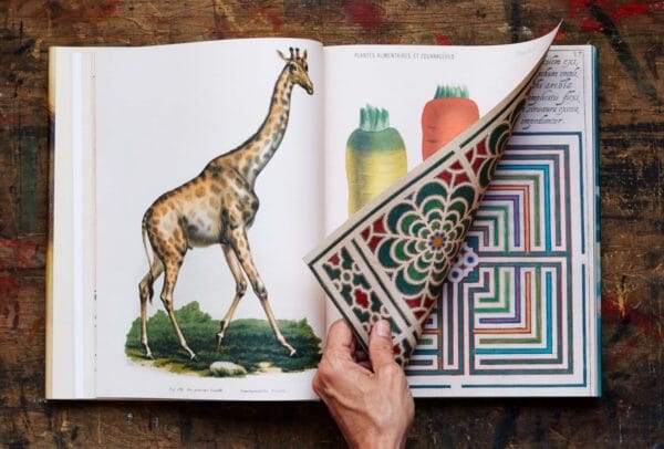 Boken John Derian Picture book - Bilde 3