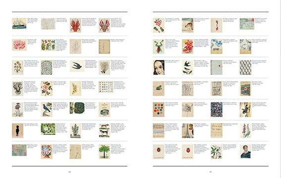 Boken John Derian Picture book - Bilde 4