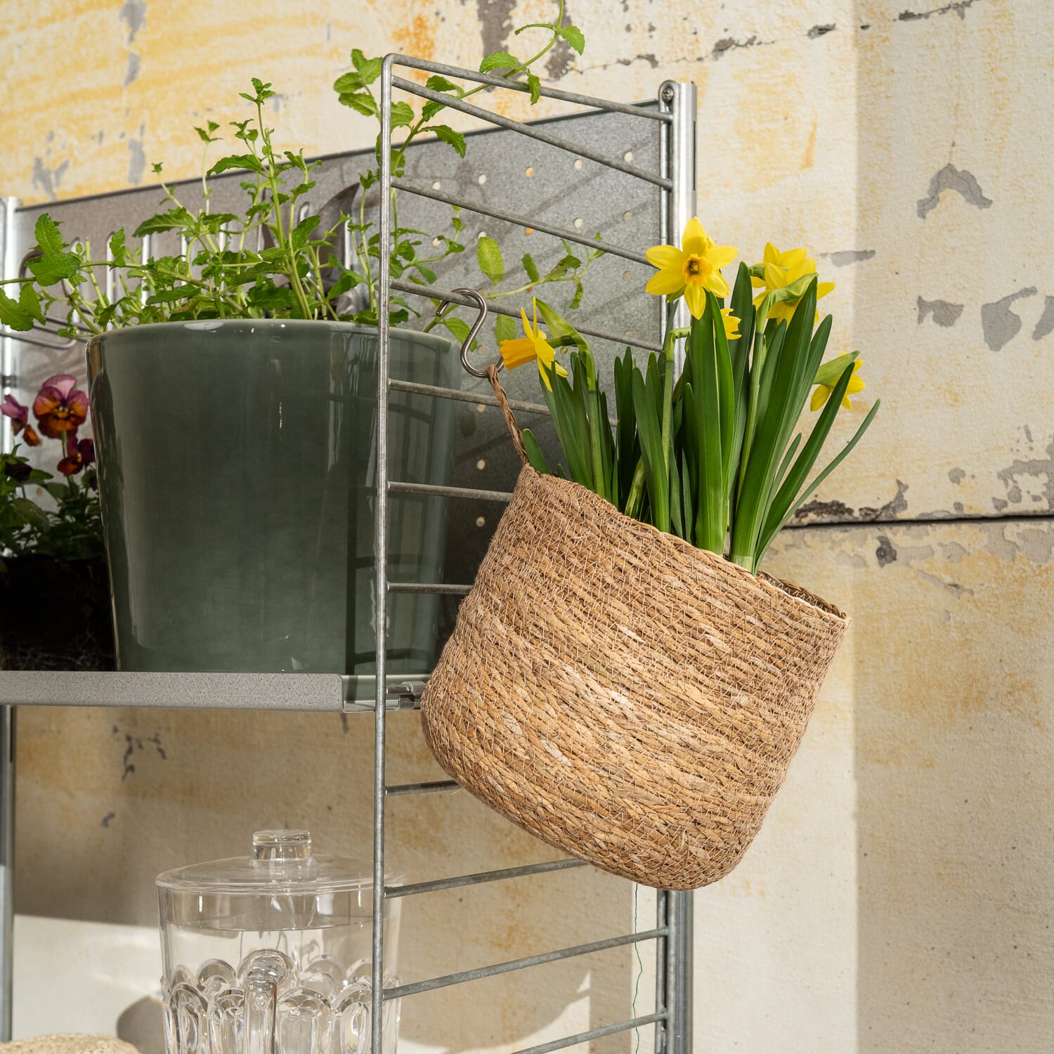 String Kroker - Bilde 2