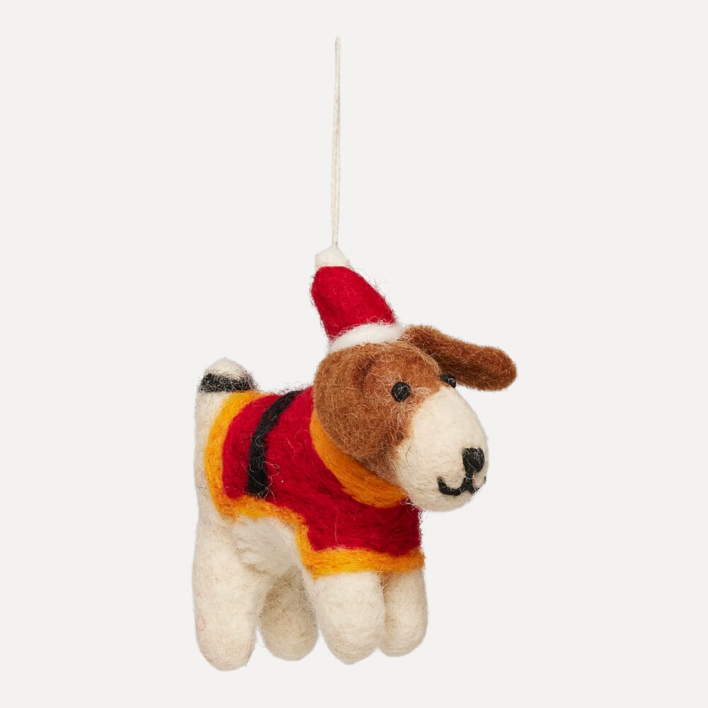 Fido med nissedrakt - Bilde 2