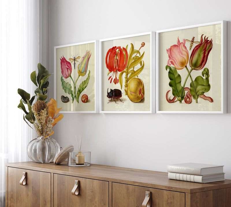Bilde Tulips and Beans 61x61