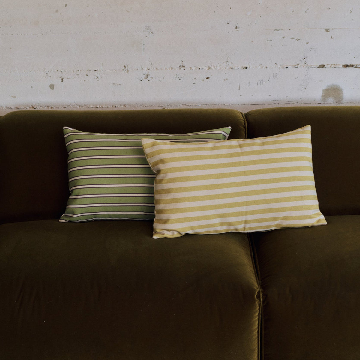 Pute Buttercup 60x35