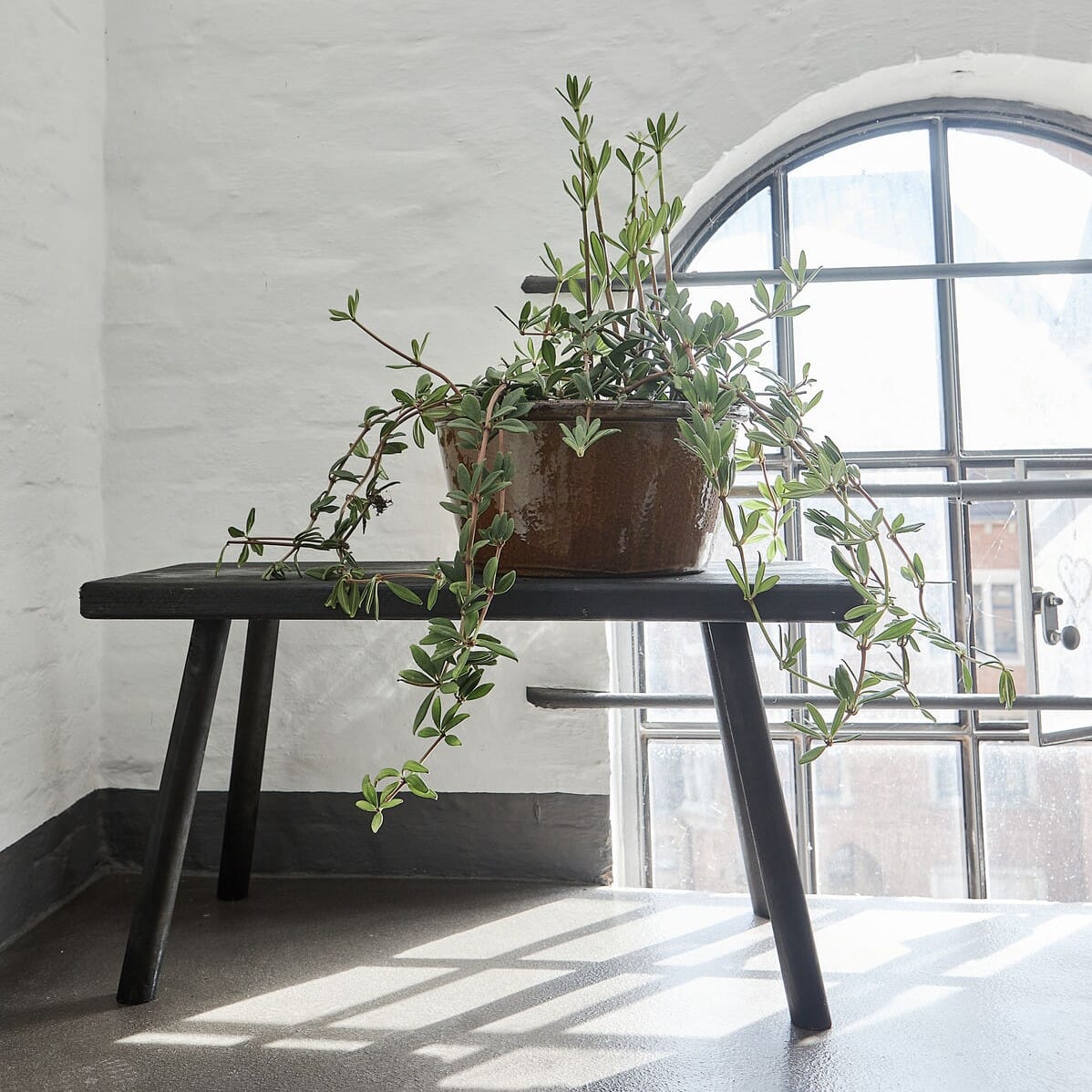 Sidebord/Benk Nadi Svart L:81 cm - Hovedbilde