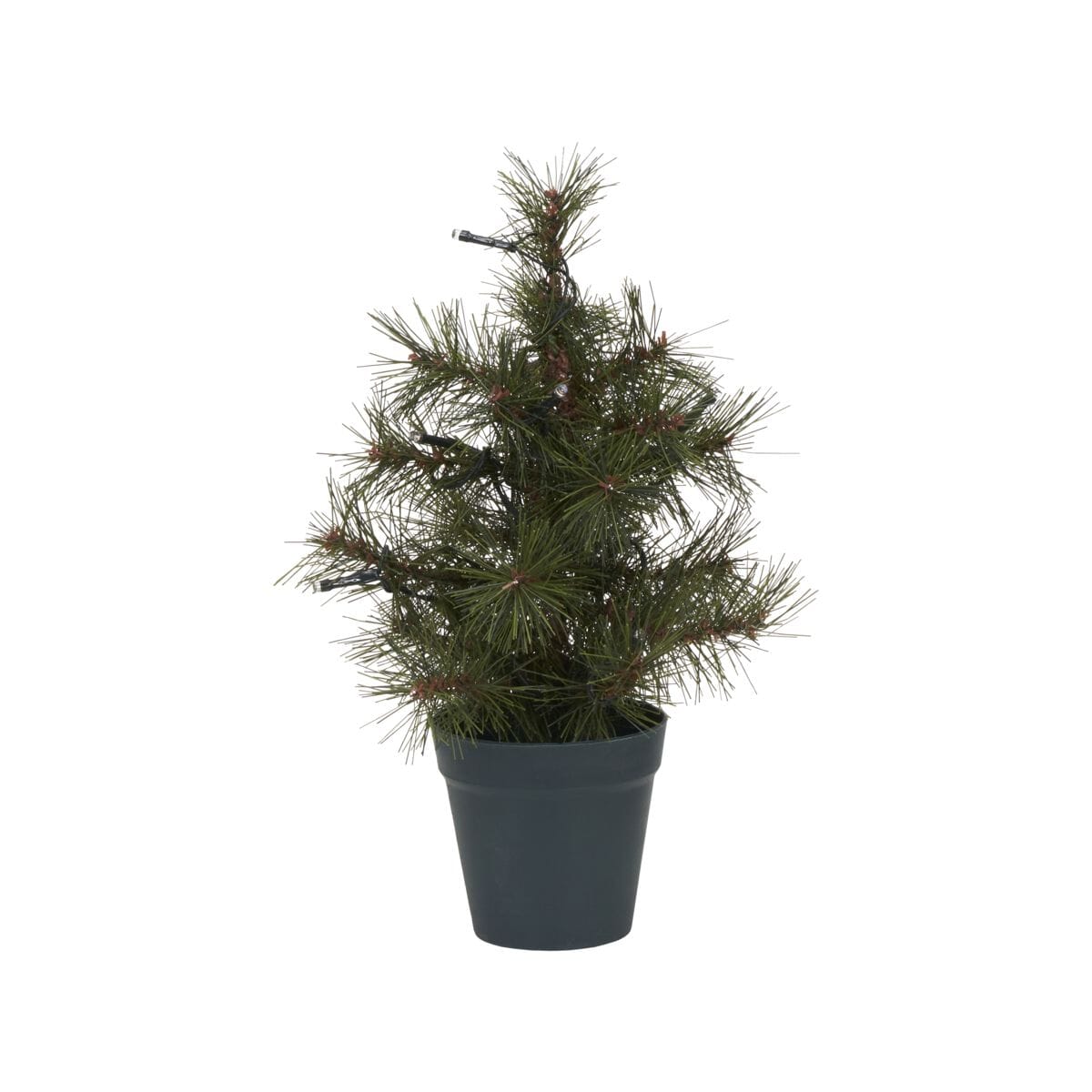 Juletre Pinus med LED H:30 - Bilde 2