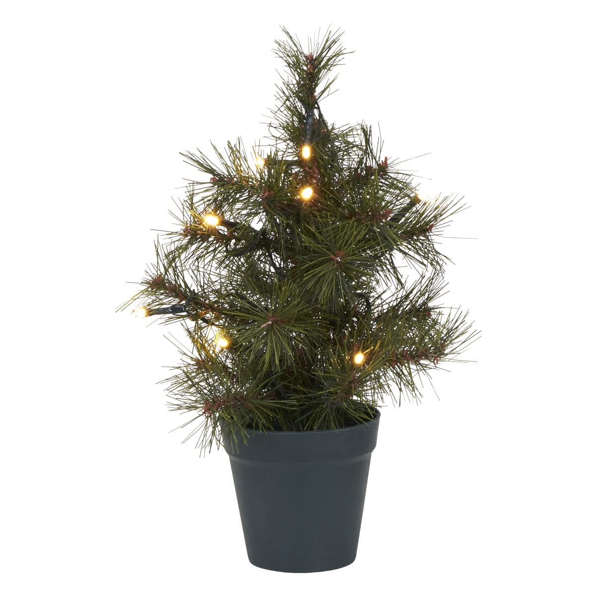 Juletre Pinus med LED H:30 - Hovedbilde