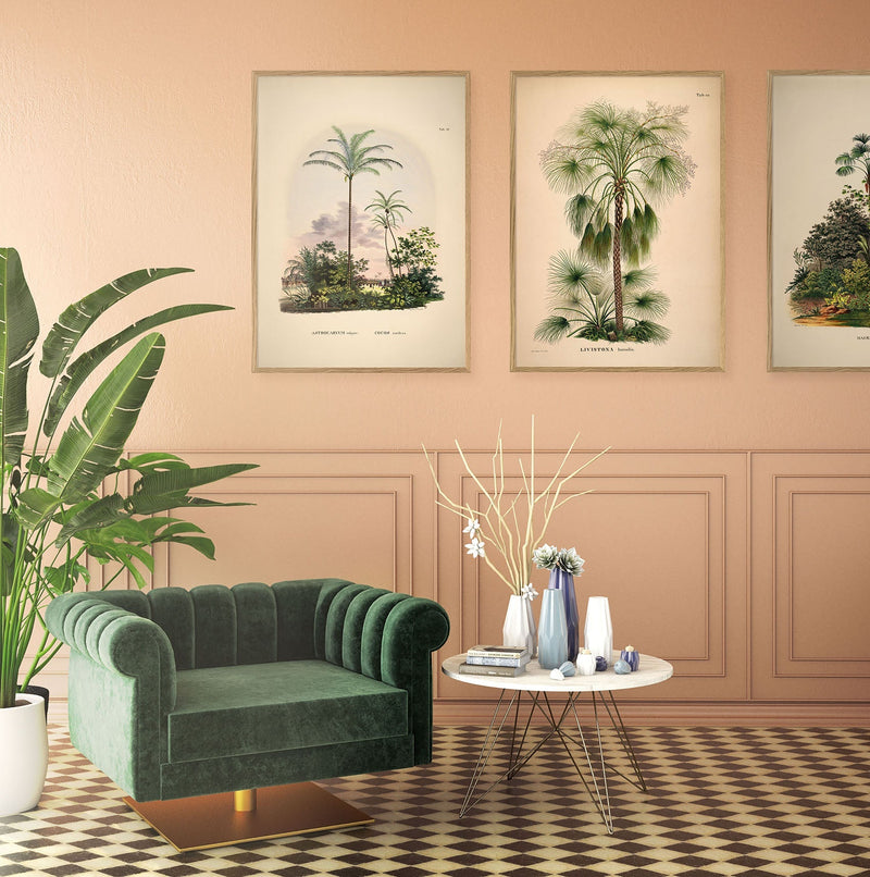 Bilde Astrocaryum vulgare. Cocos nucifera