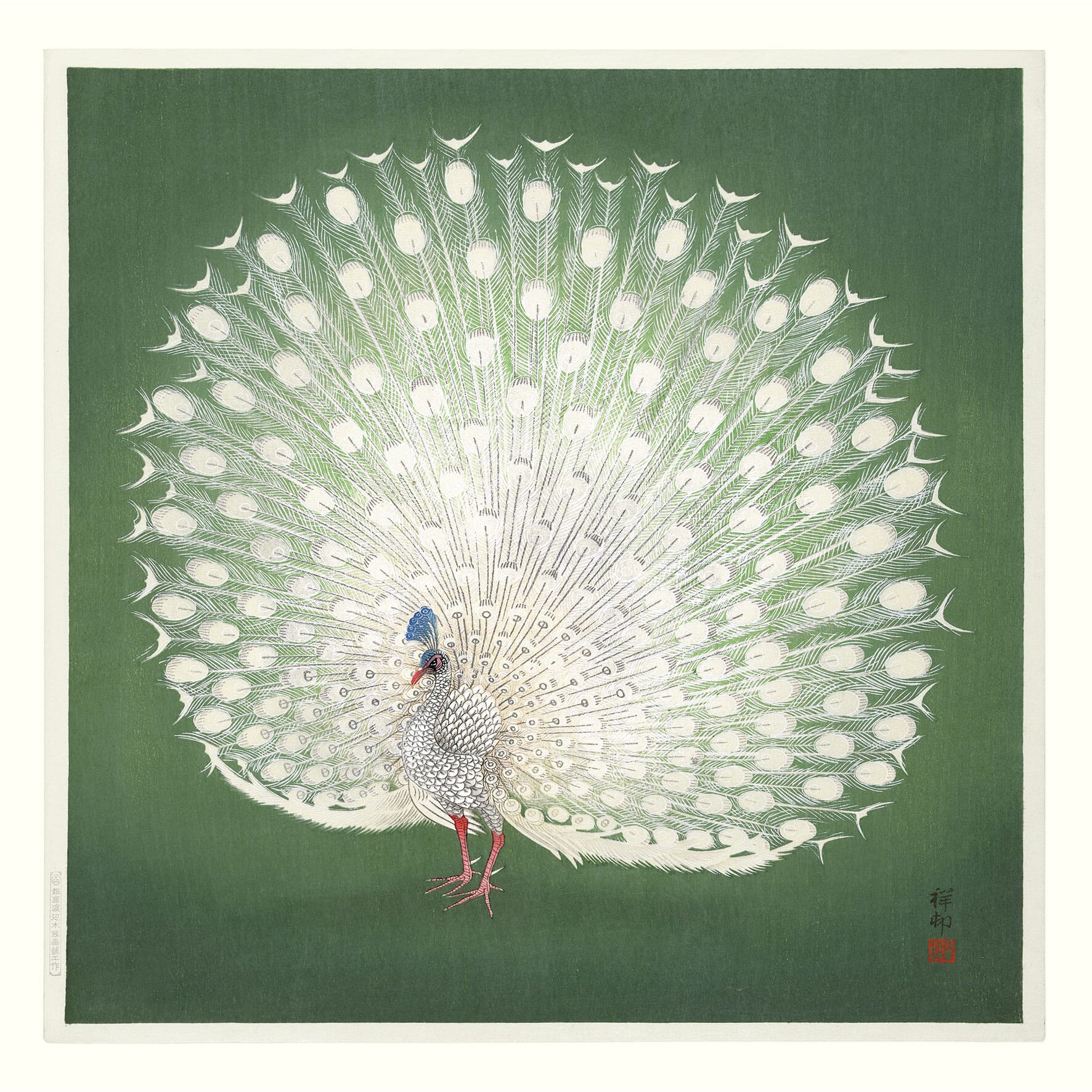 Bilde Peacock on Green 100x100 - Bilde 2
