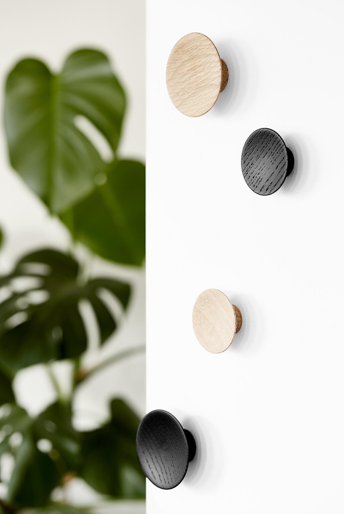 Olympia Knott Eik L - Bilde 2