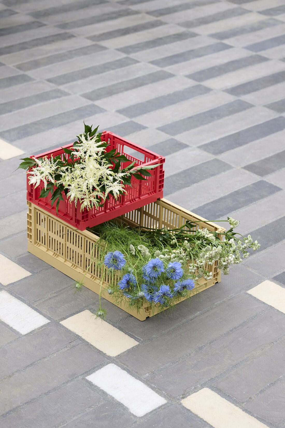 Colour Crate Boks Red S - Bilde 2