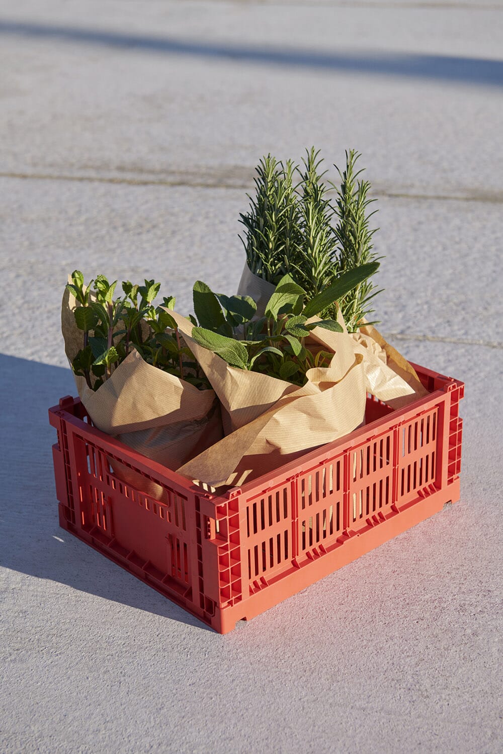 Colour Crate Boks Red M - Bilde 2