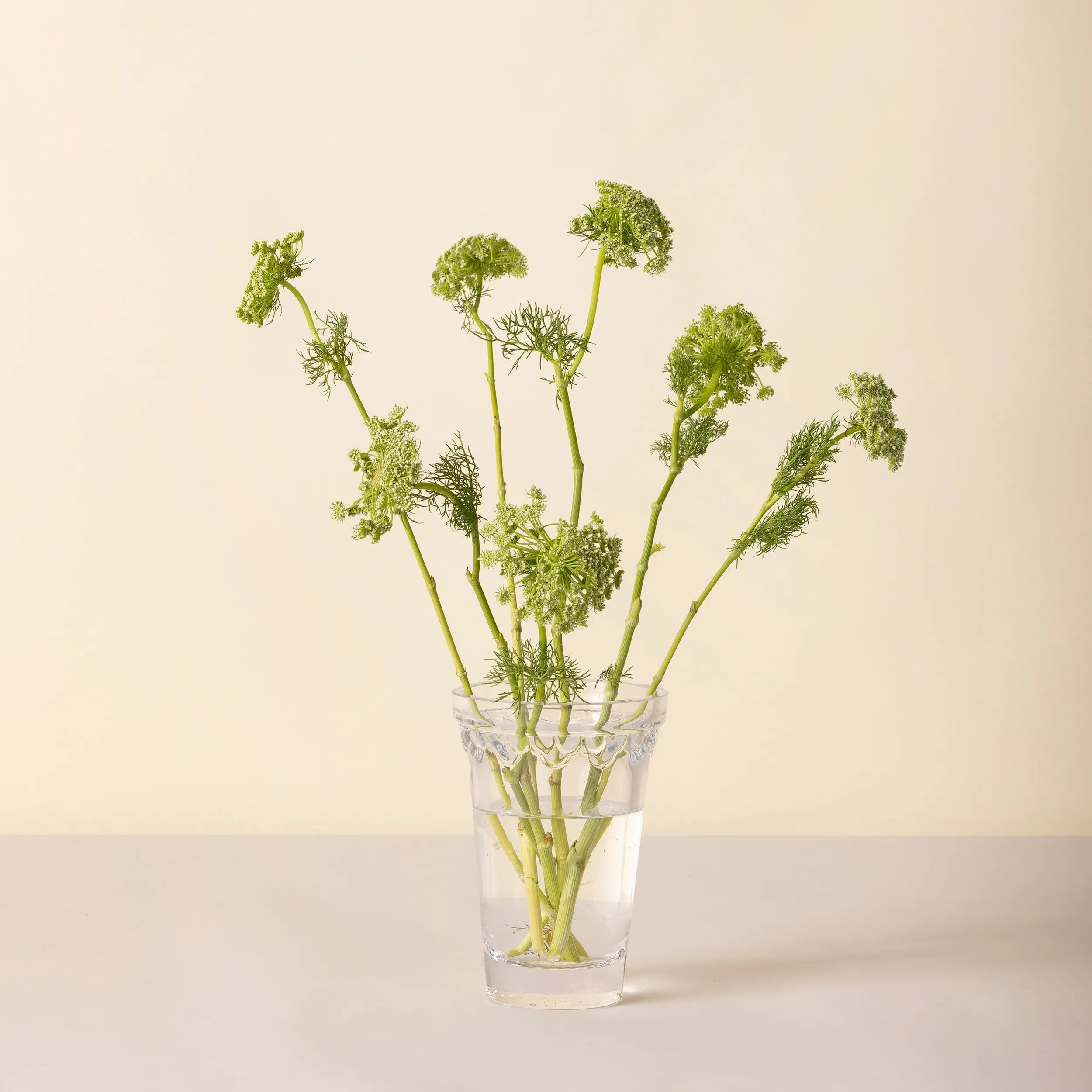 Vase Københavner Clear Ø11