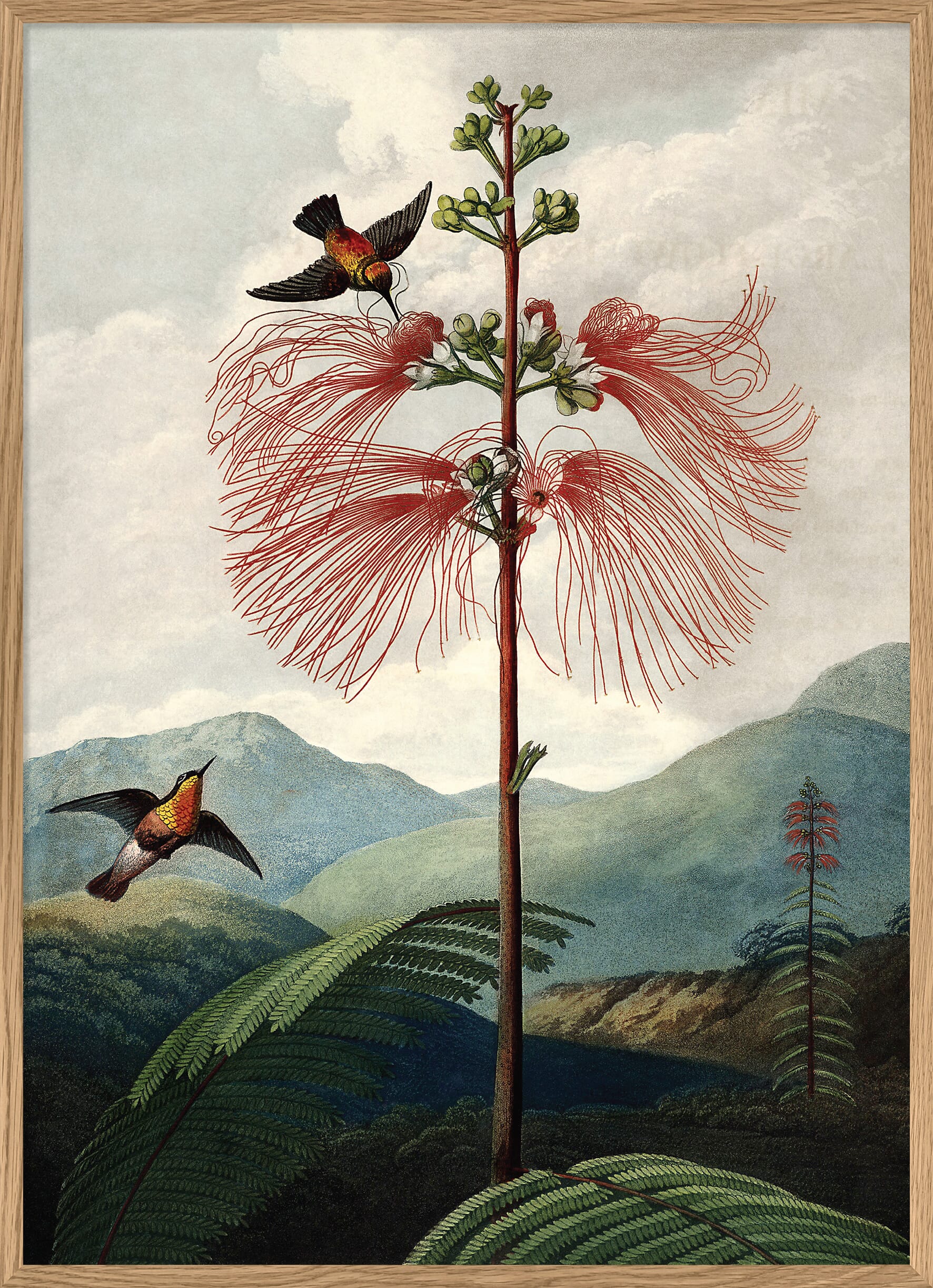 Bilde The Tree of Flowers - Hovedbilde