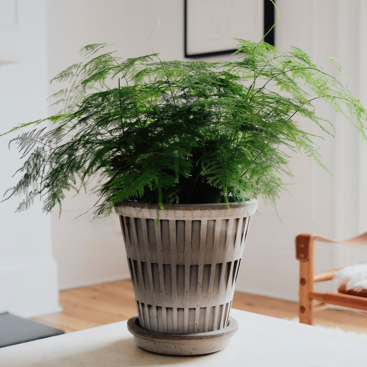 Potte Pantheon Raw Grey Ø16