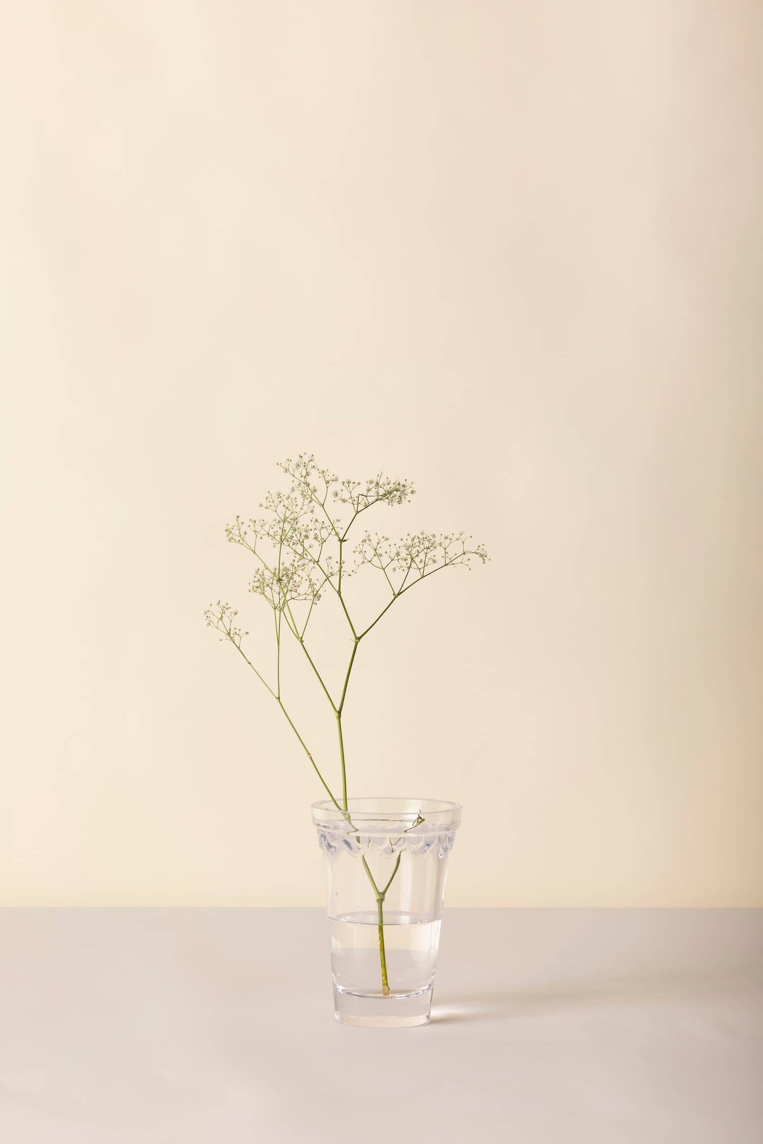 Vase Københavner Clear Ø11