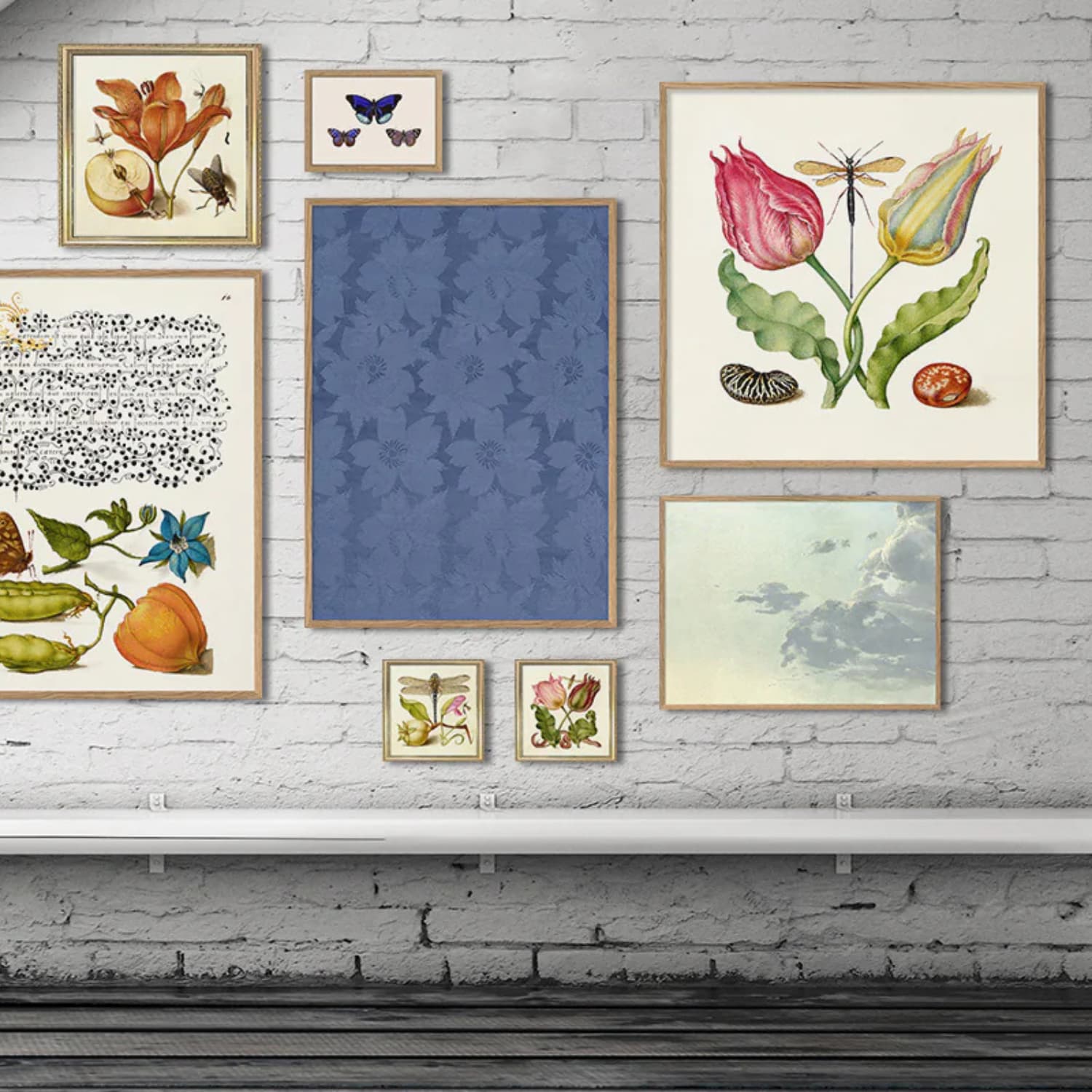 Bilde Tulips and Beans 61x61