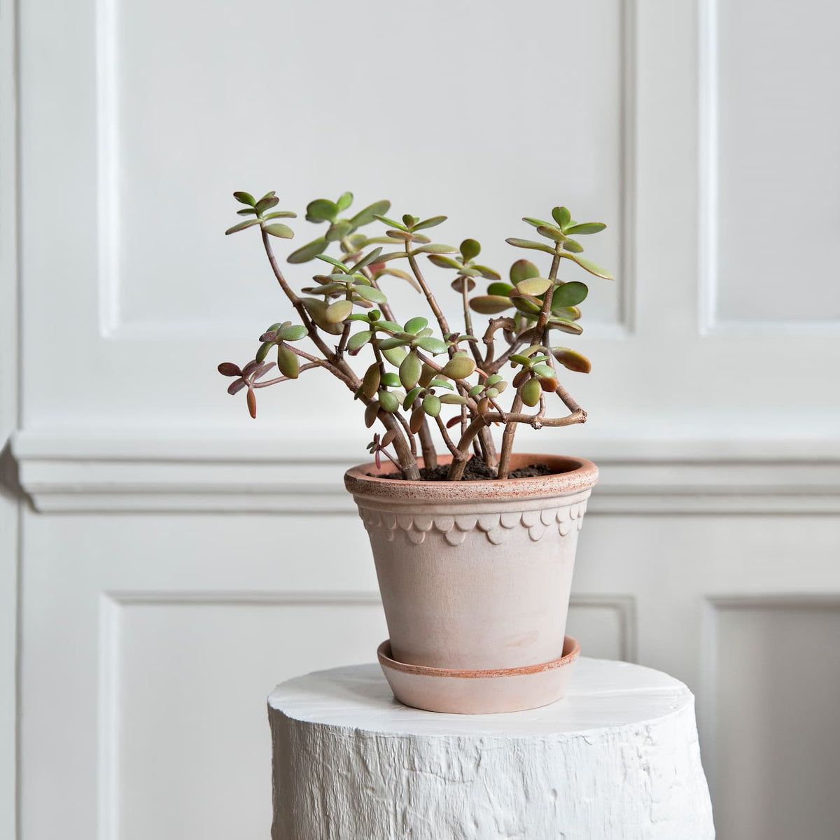 Potte Københavner Rosa Ø16