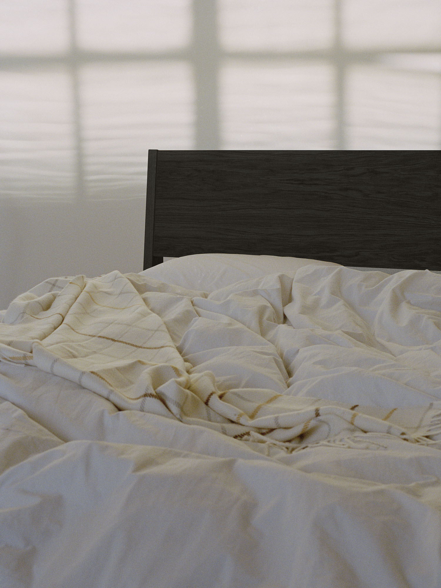 Seng Ejer Blackstained Oak