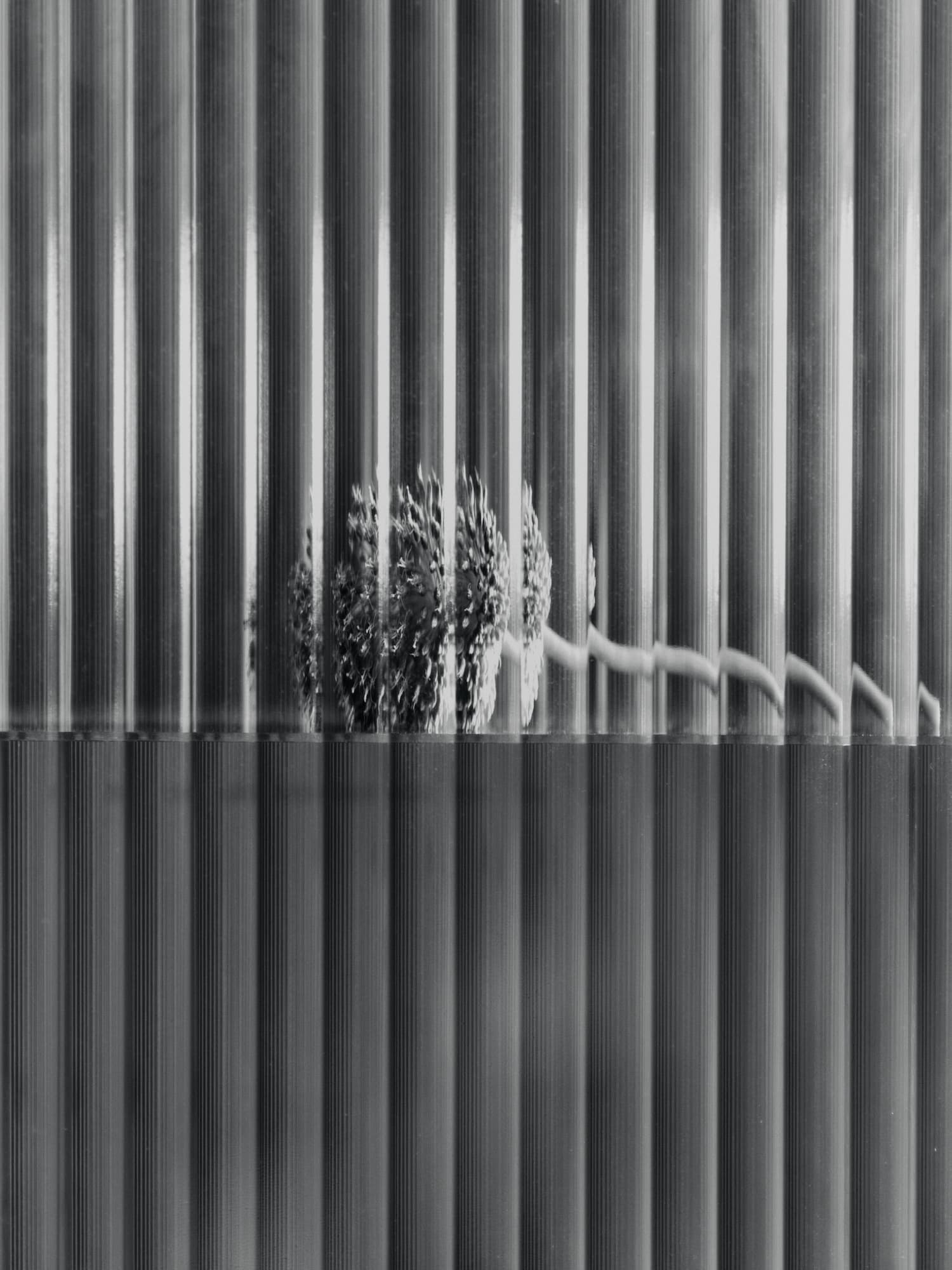 Veggskap Haze 35x100