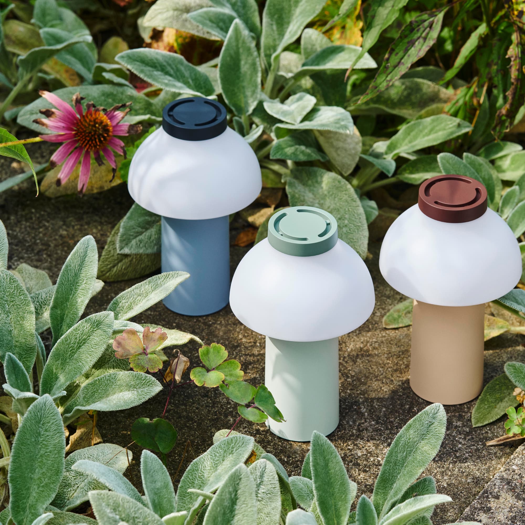 PC Oppladbar Lampe Blush Peach