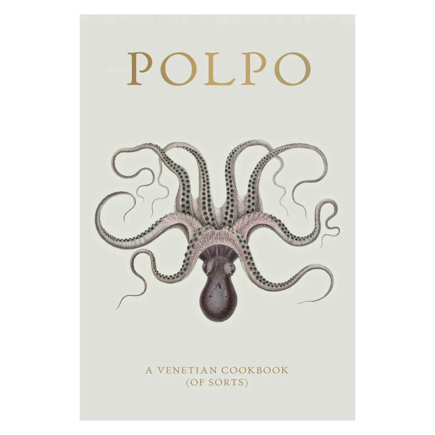 Polpo