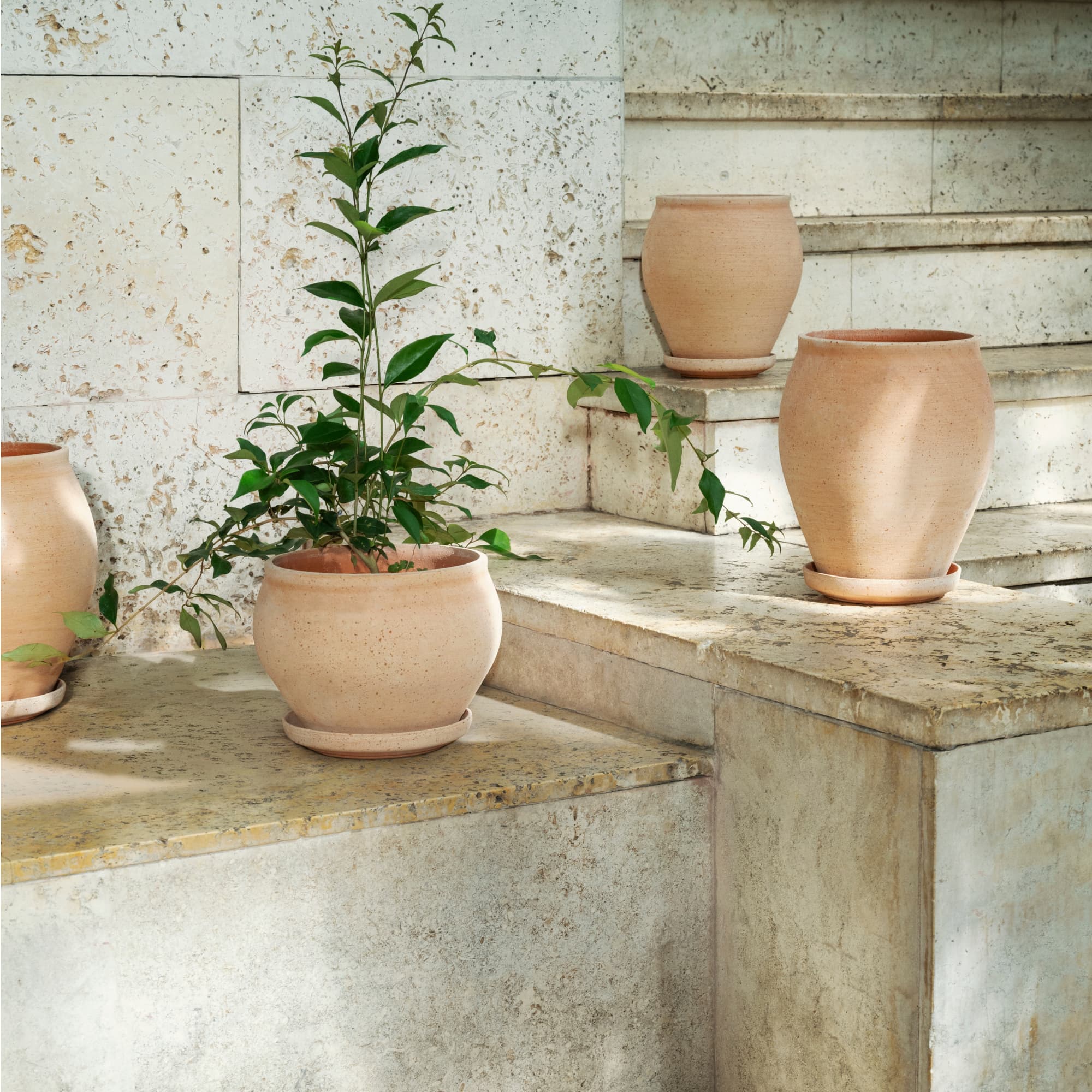 Potte Delphi Raw Rosa Low 24cm