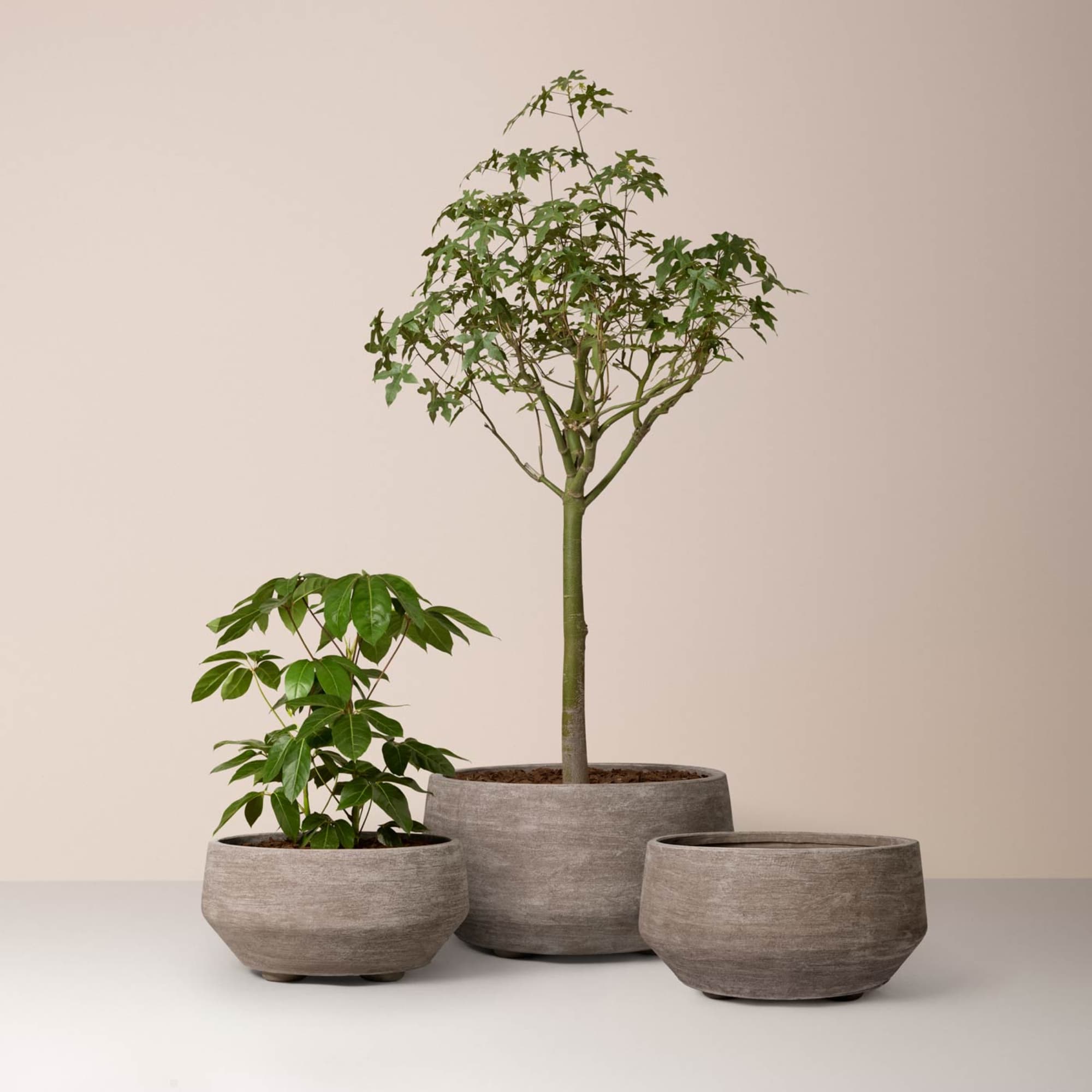 Potte Doma Grey
