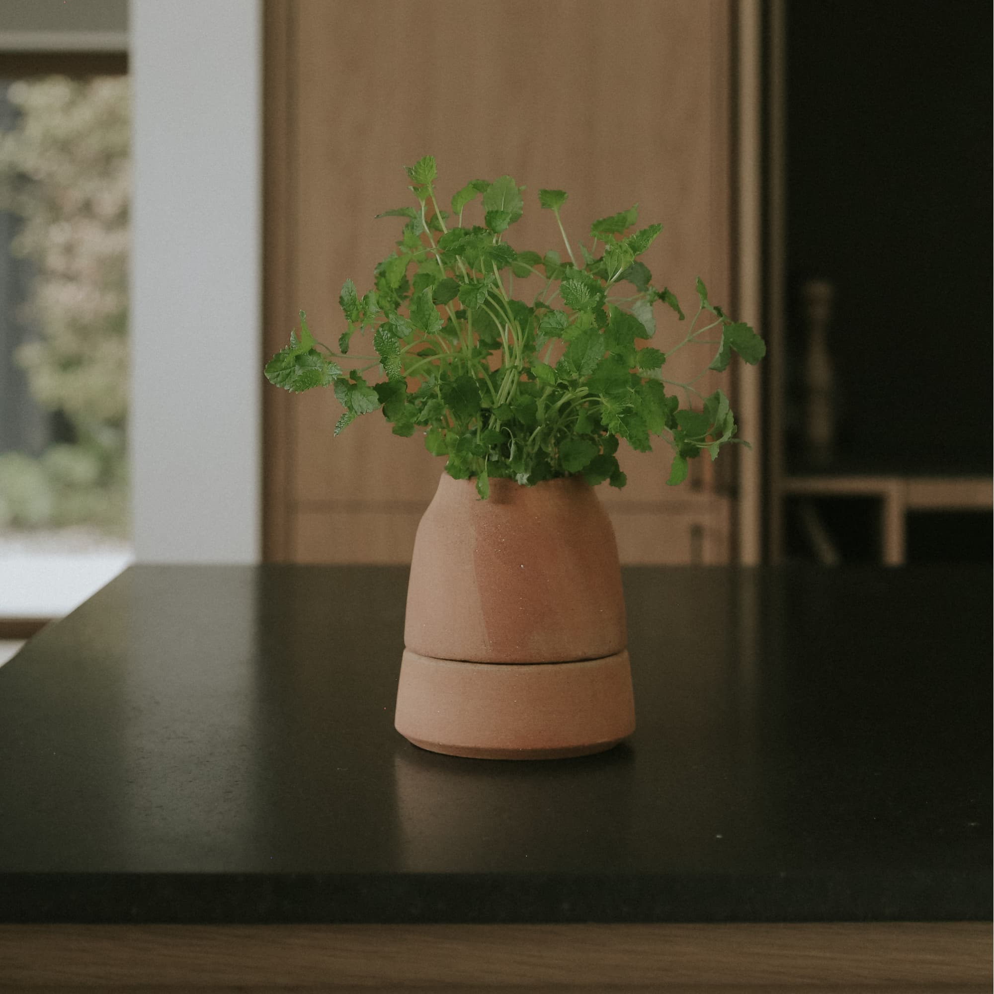 Potte Viva 12 cm