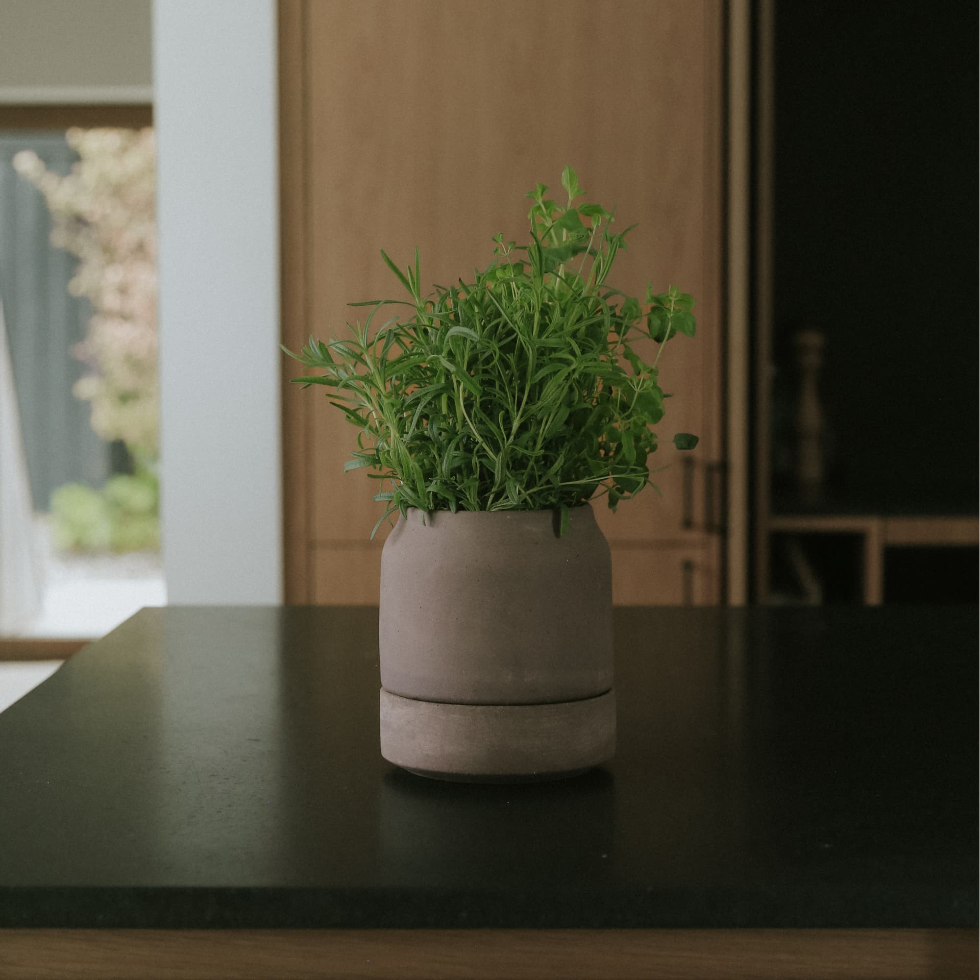 Potte Viva 14 cm