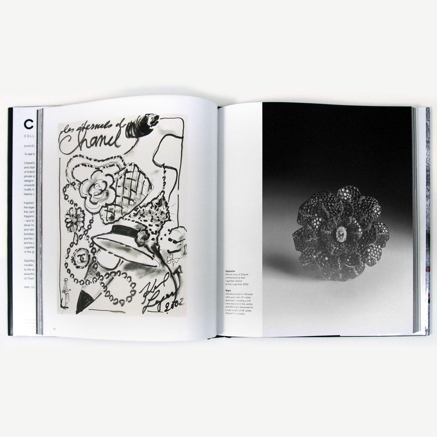 Boken Chanel Collections and Creations