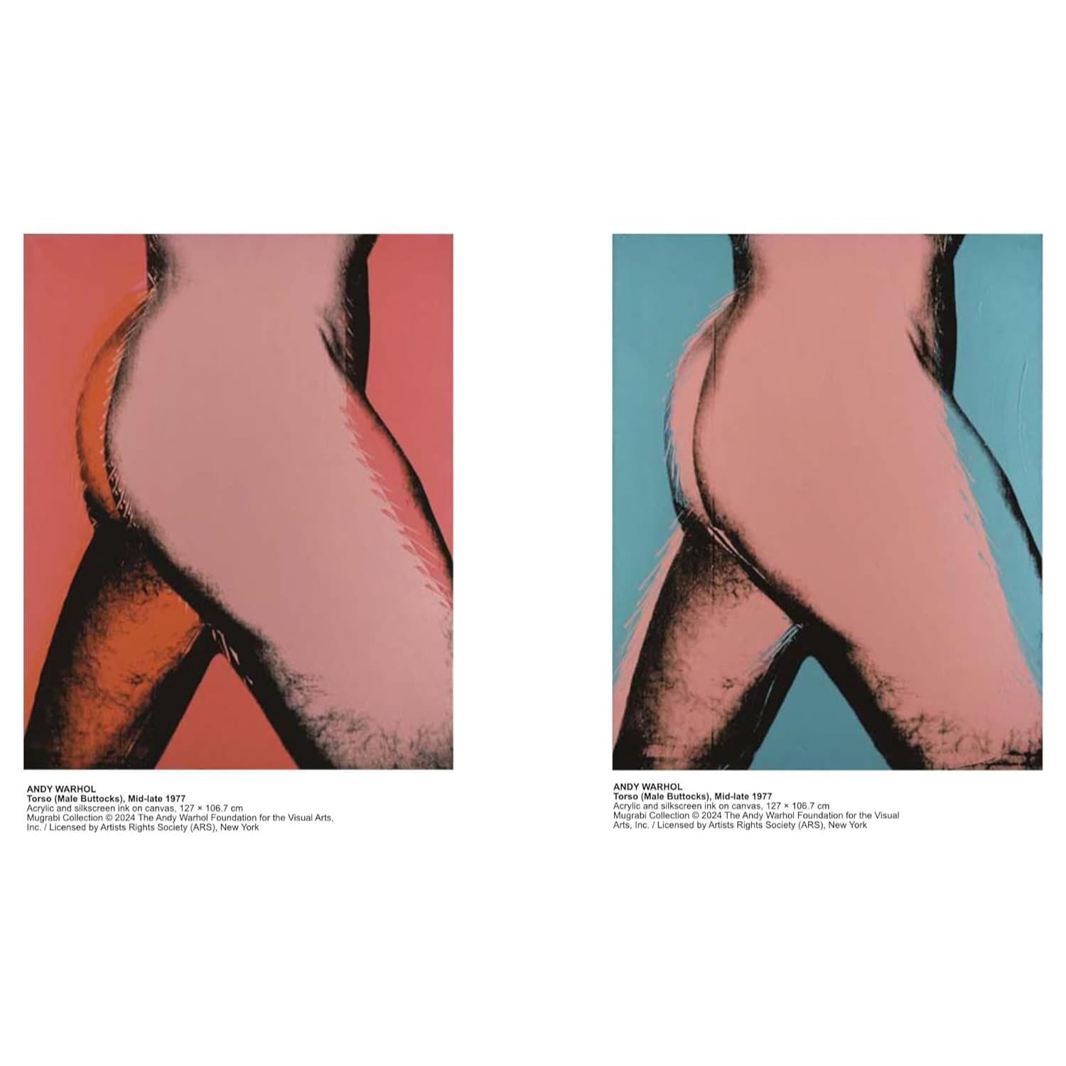 Andy Warhol - Velvet Rage and Beauty - Bilde 3