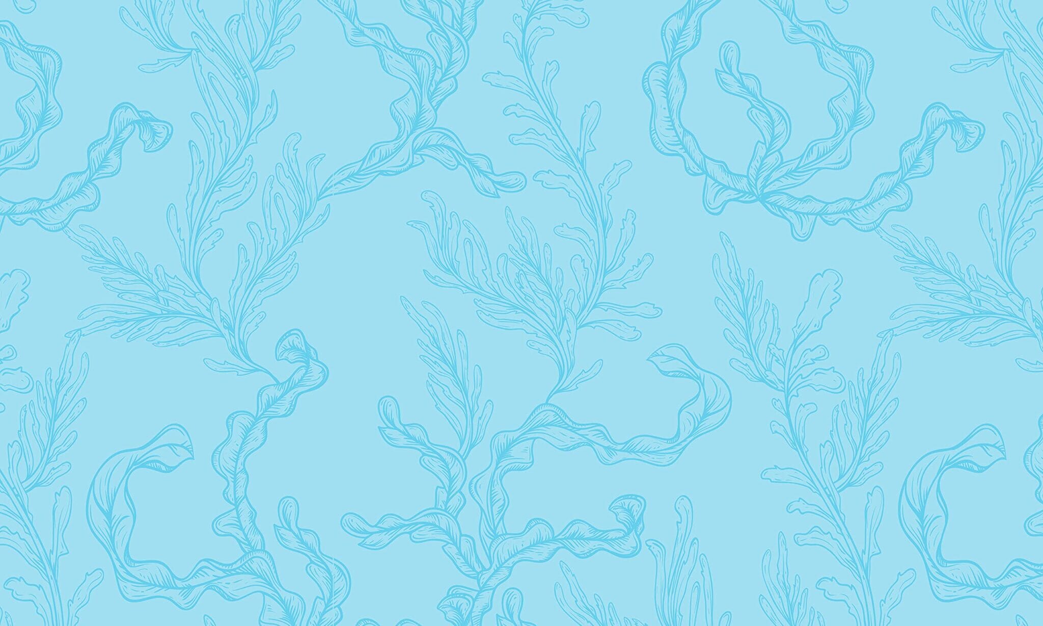 Atlantis Sticker Studio - Bilde 5